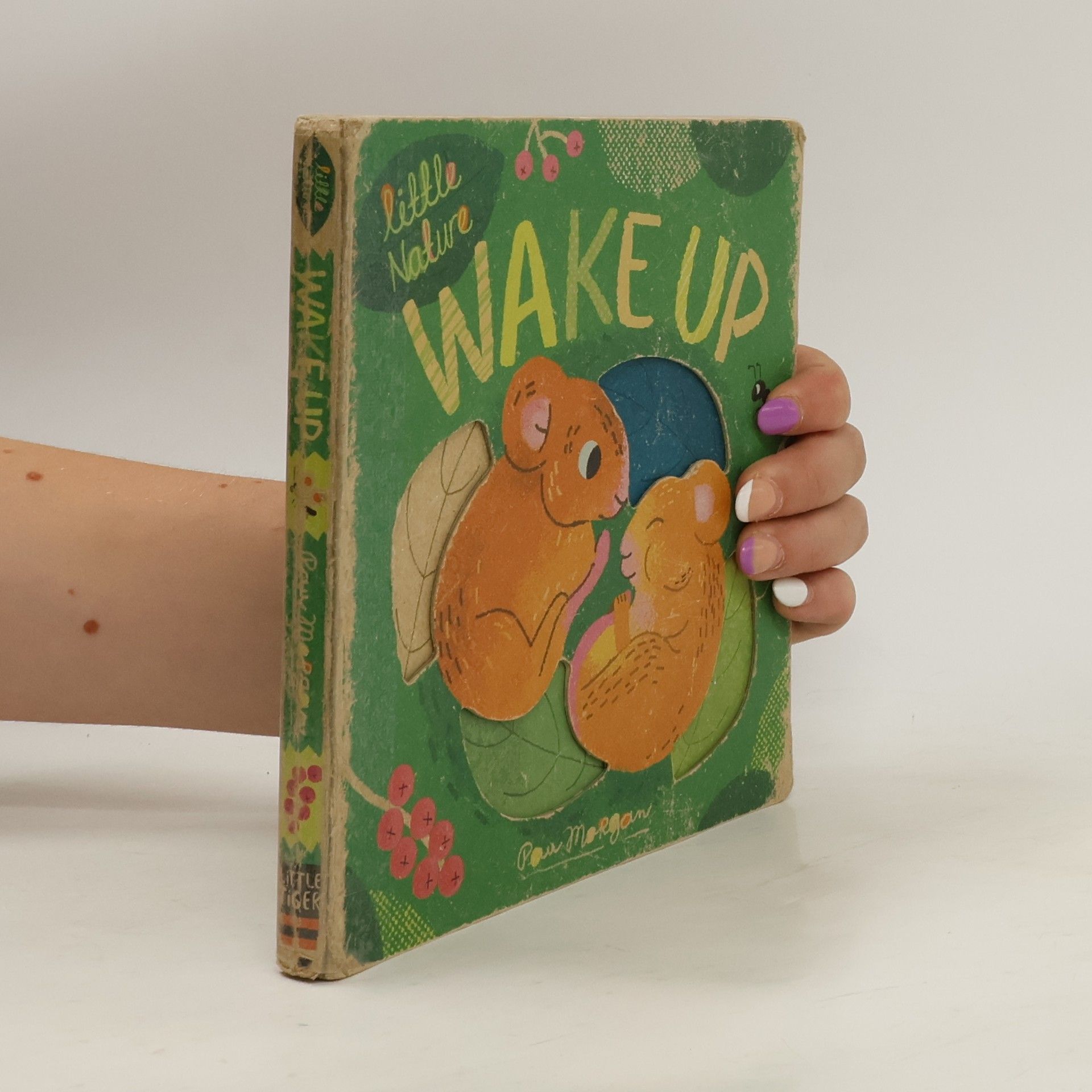 Isabel Otter Wake Up