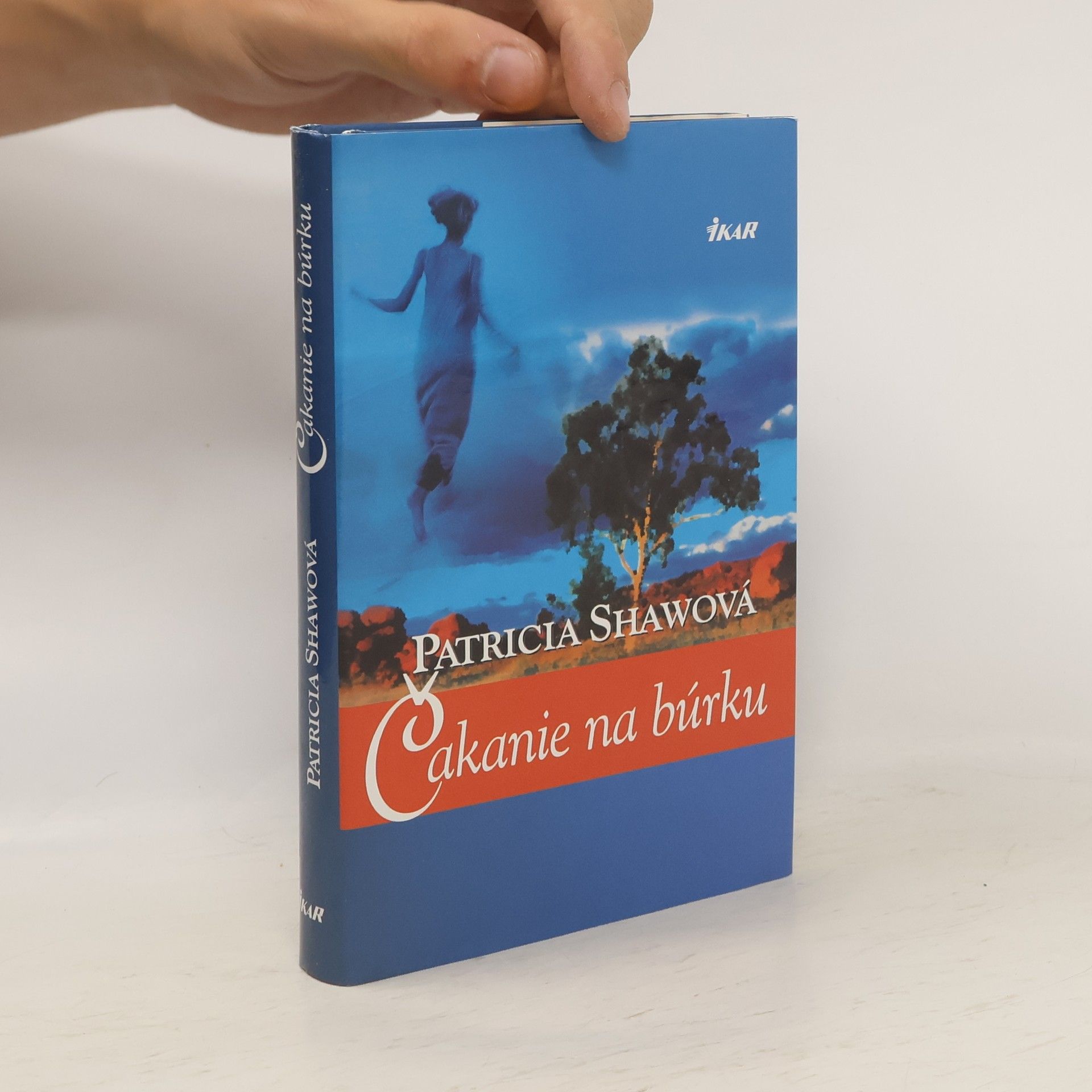 Patricia Shaw Čakanie na búrku