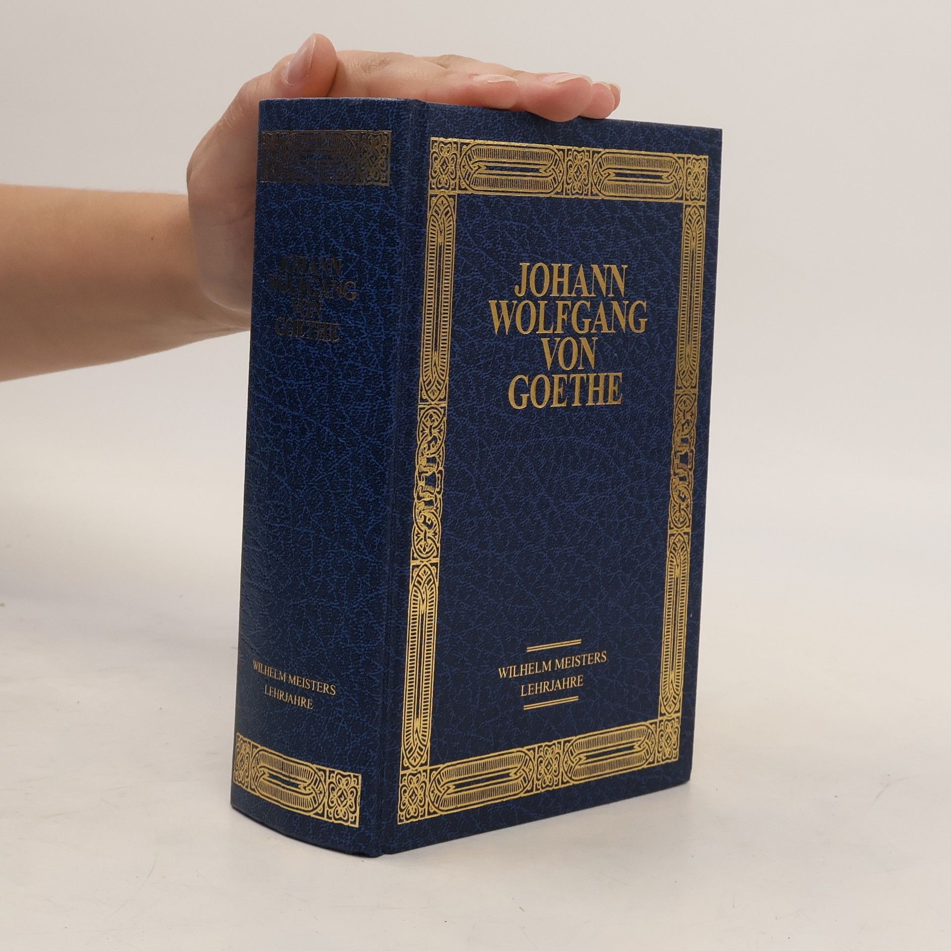 Johann Wolfgang von Goethe Romane 2