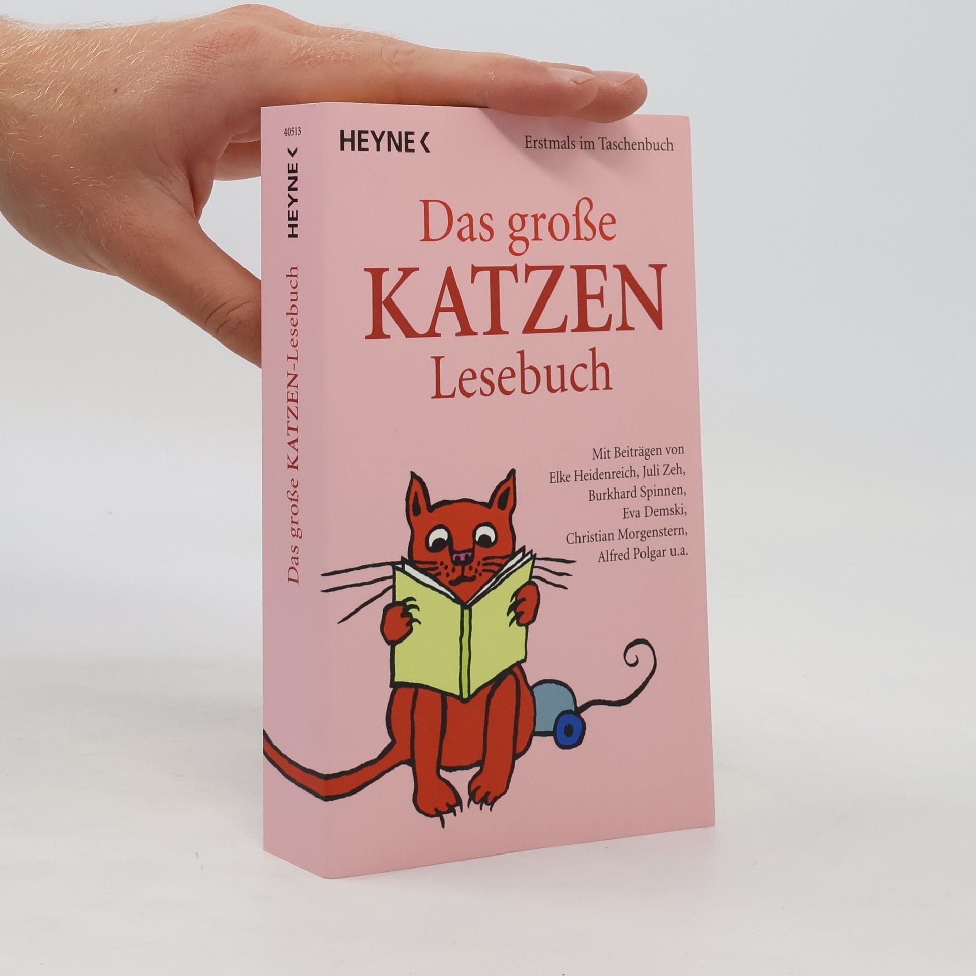 Julia Bachstein Das große Katzen-Lesebuch