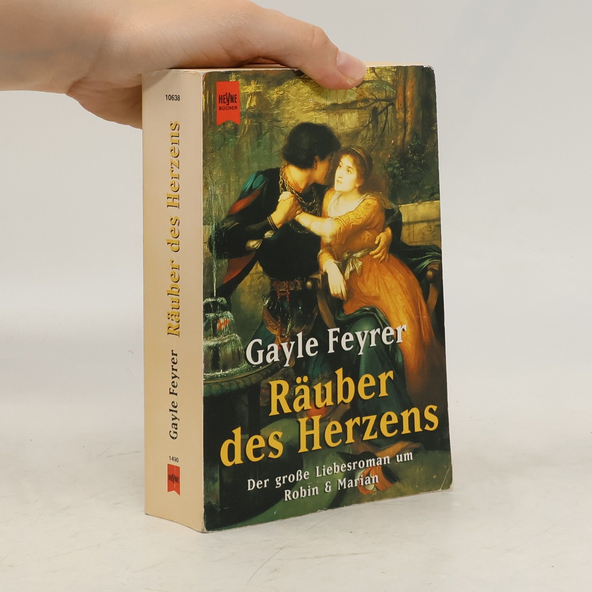 Gayle Feyrer Räuber des Herzens