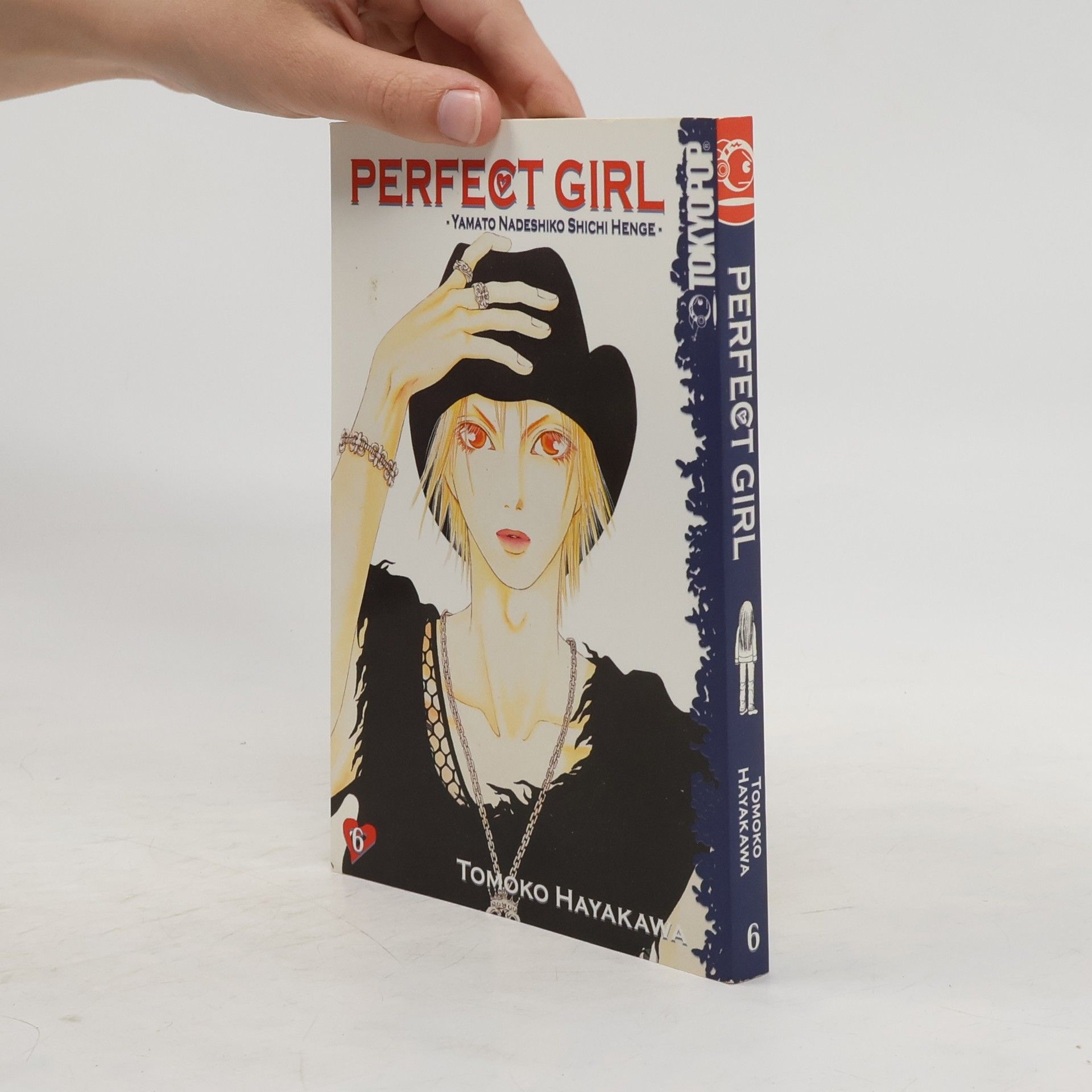 Tomoko Hayakawa Perfect Girl 6