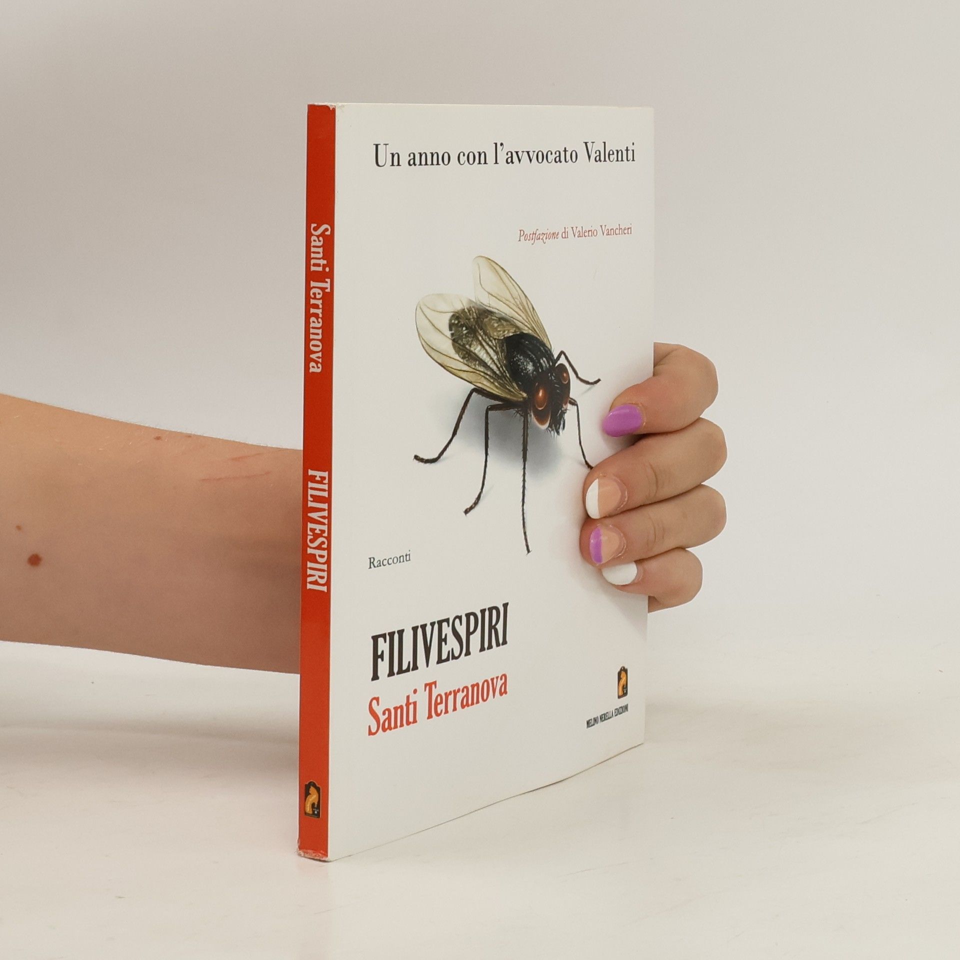 Santi Terranova Filivespiri. Un anno con l'avvocato Valenti