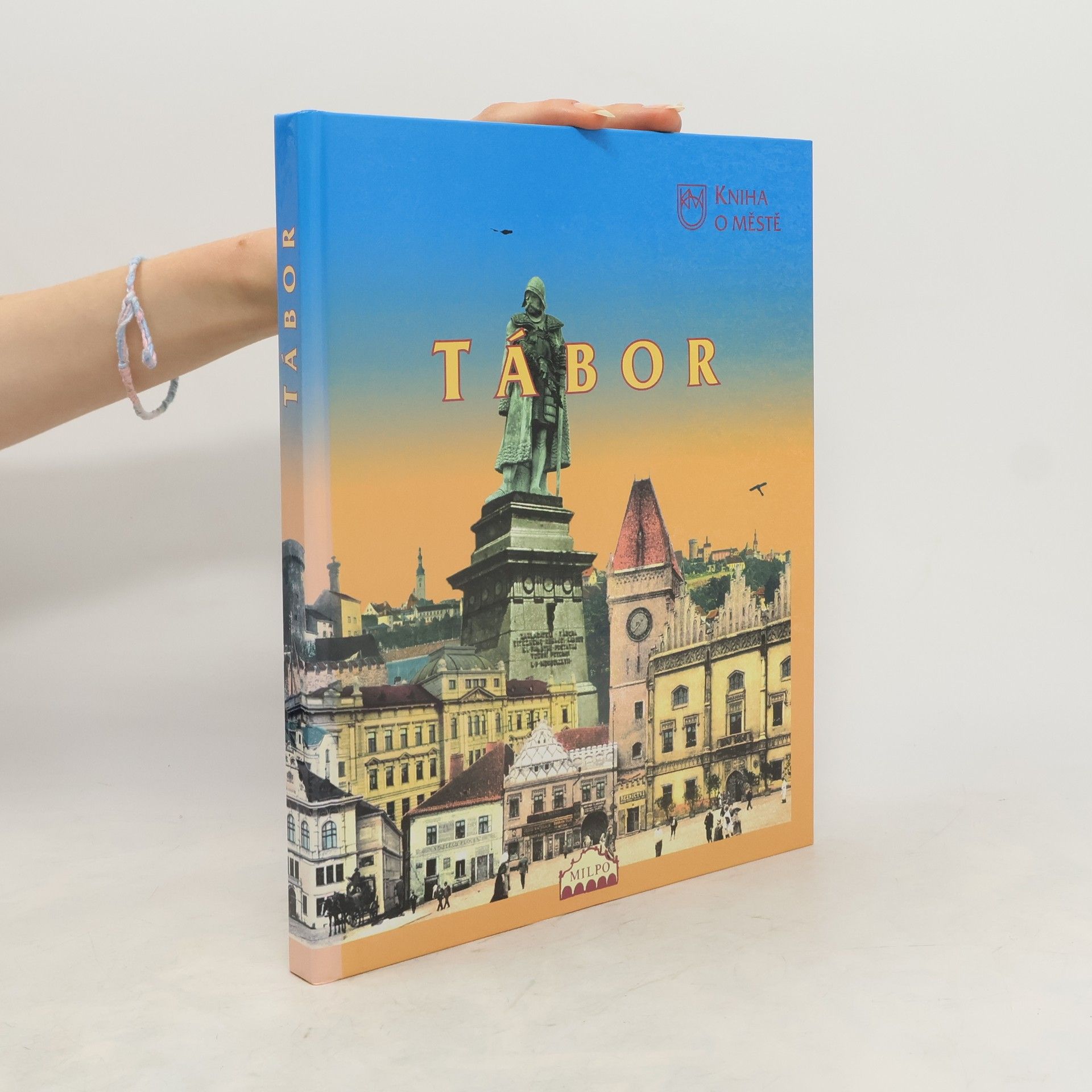 Collectif d'auteurs Kniha o městě Tábor