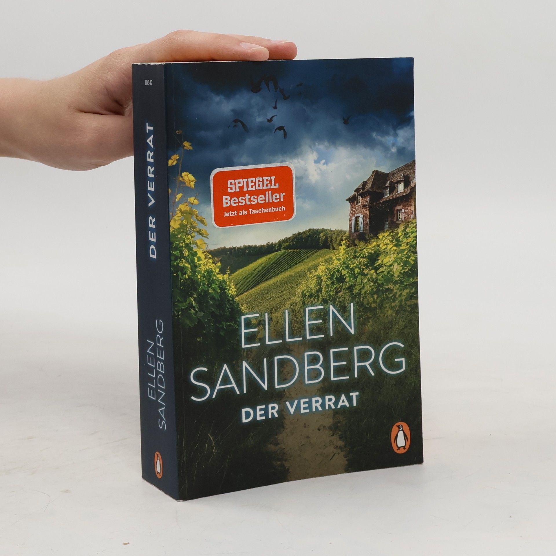 Ellen Sandberg Der Verrat