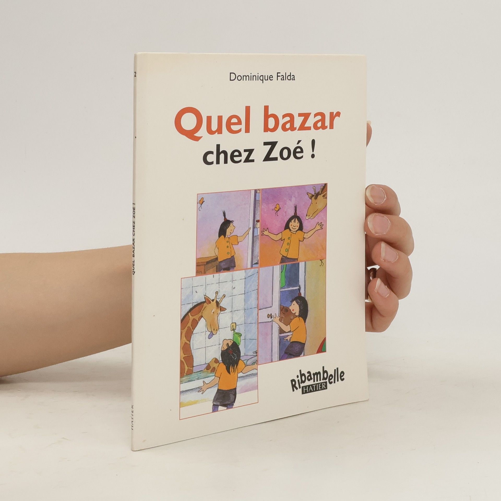 Dominique Falda Quel bazar chez Zoé