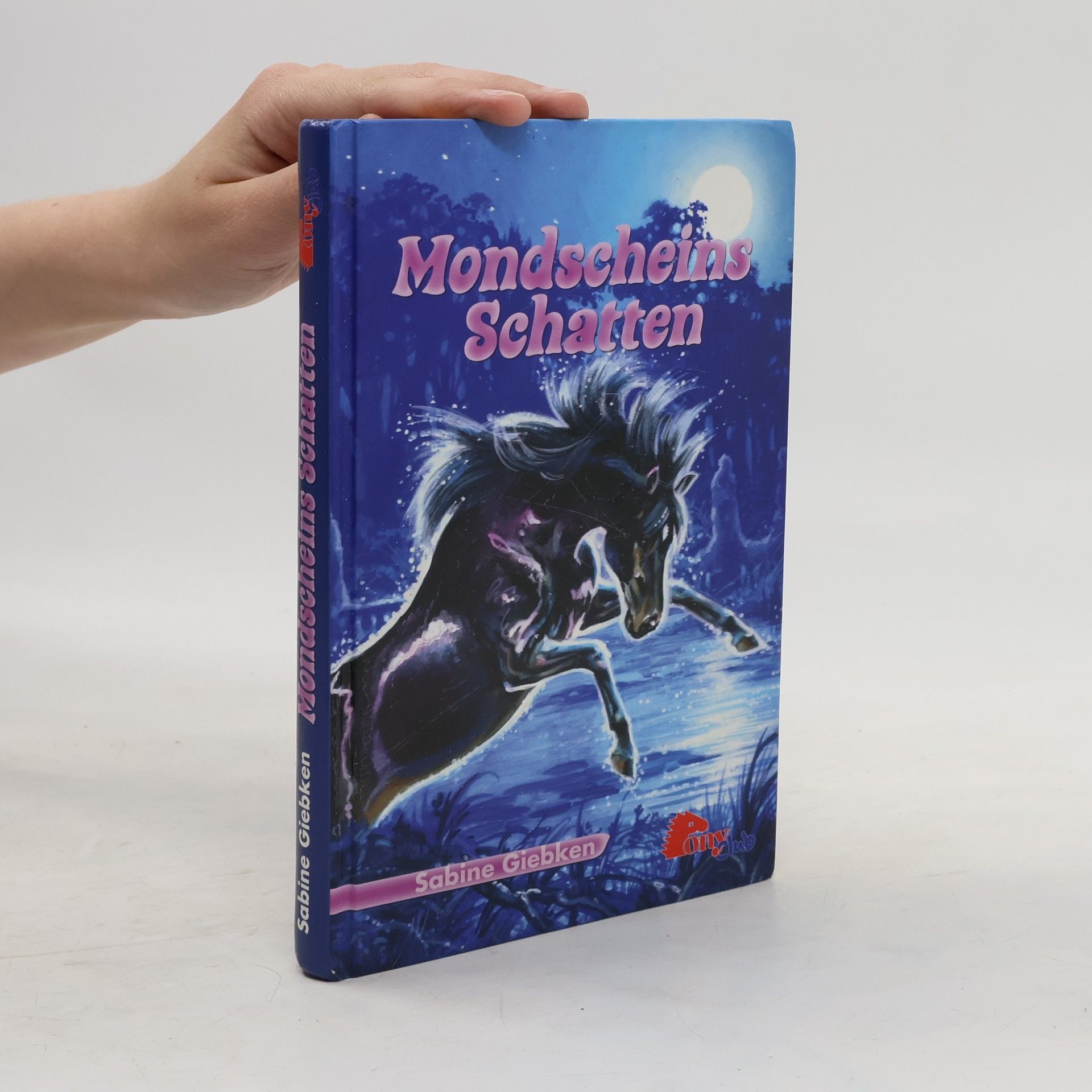Sabine Giebken Mondscheins Schatten