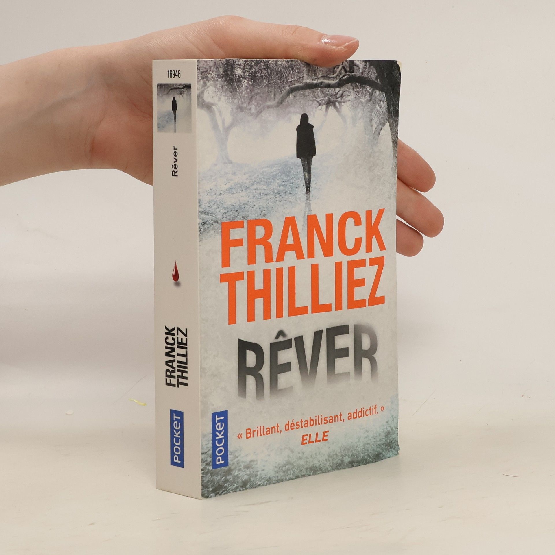 Franck Thilliez Rêver