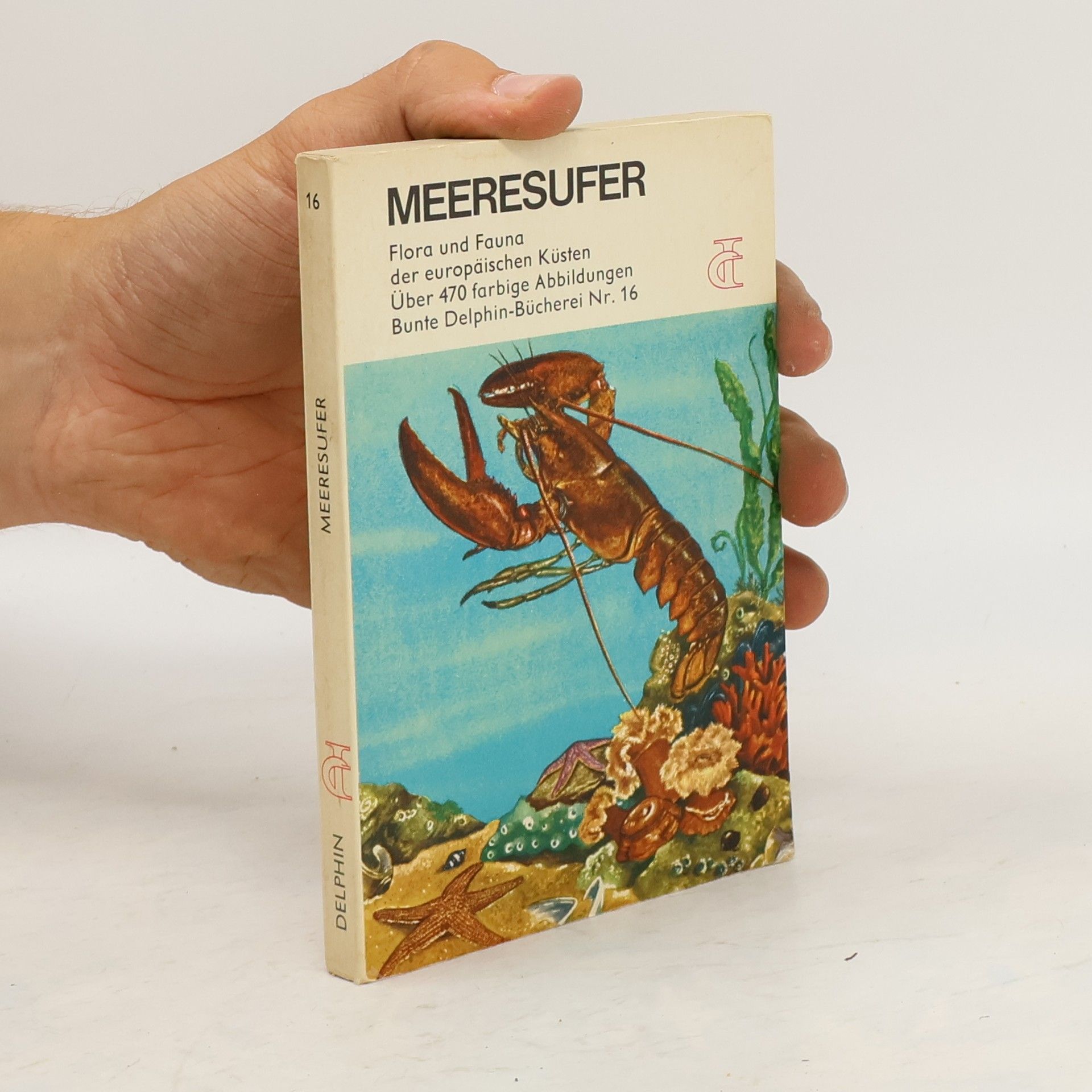 kolektiv Meeresufer 16