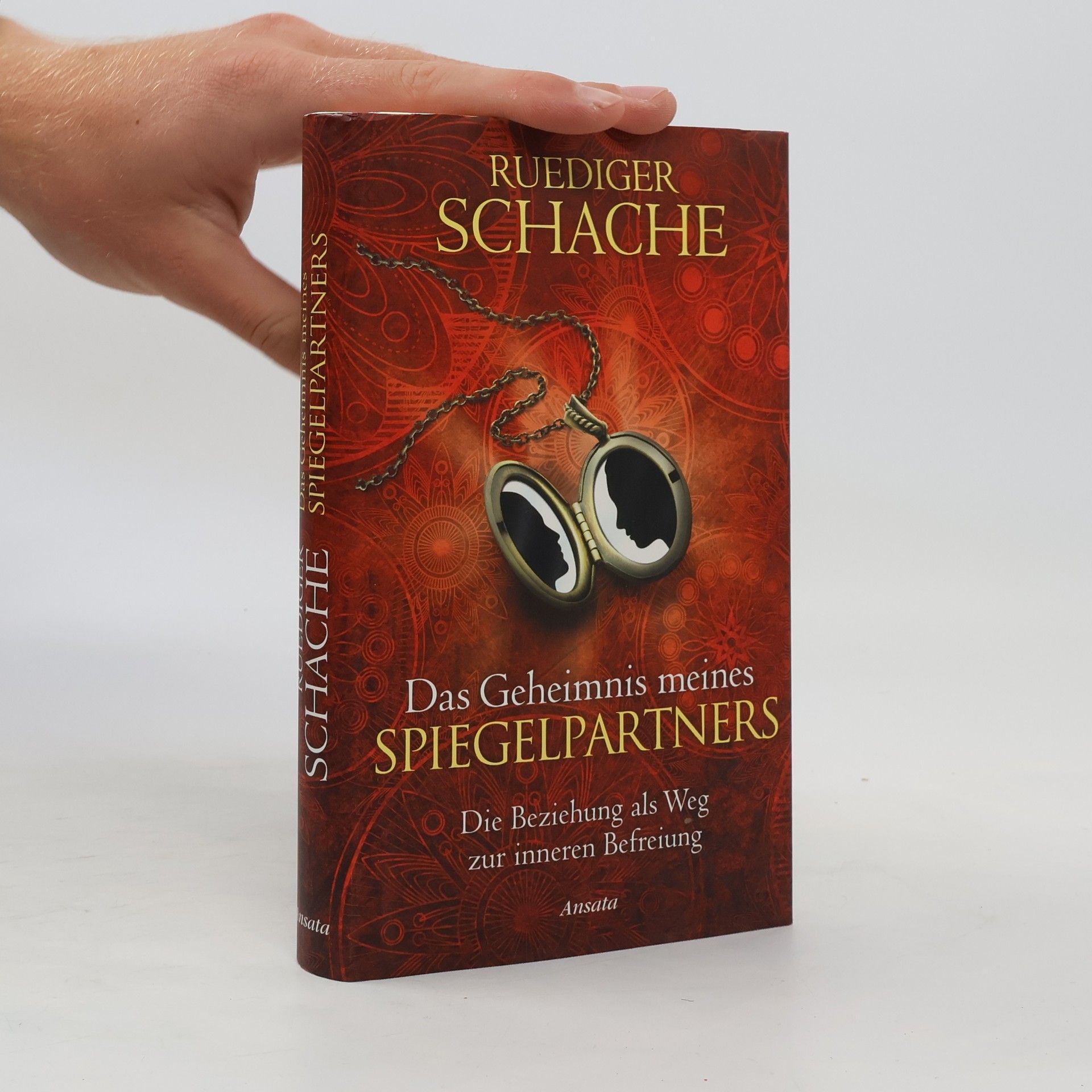 Ruediger Schache Das Geheimnis meines spiegelpartners