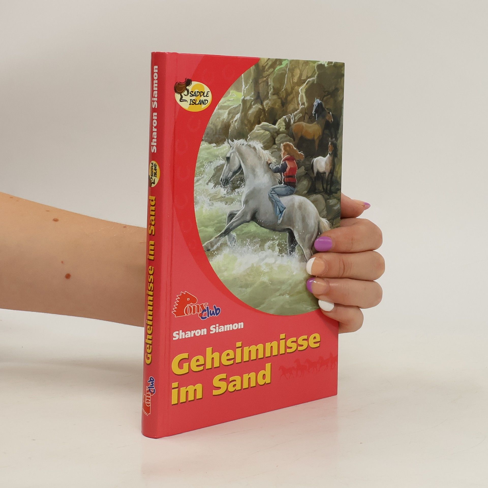 Sharon Siamon Geheimnisse im Sand