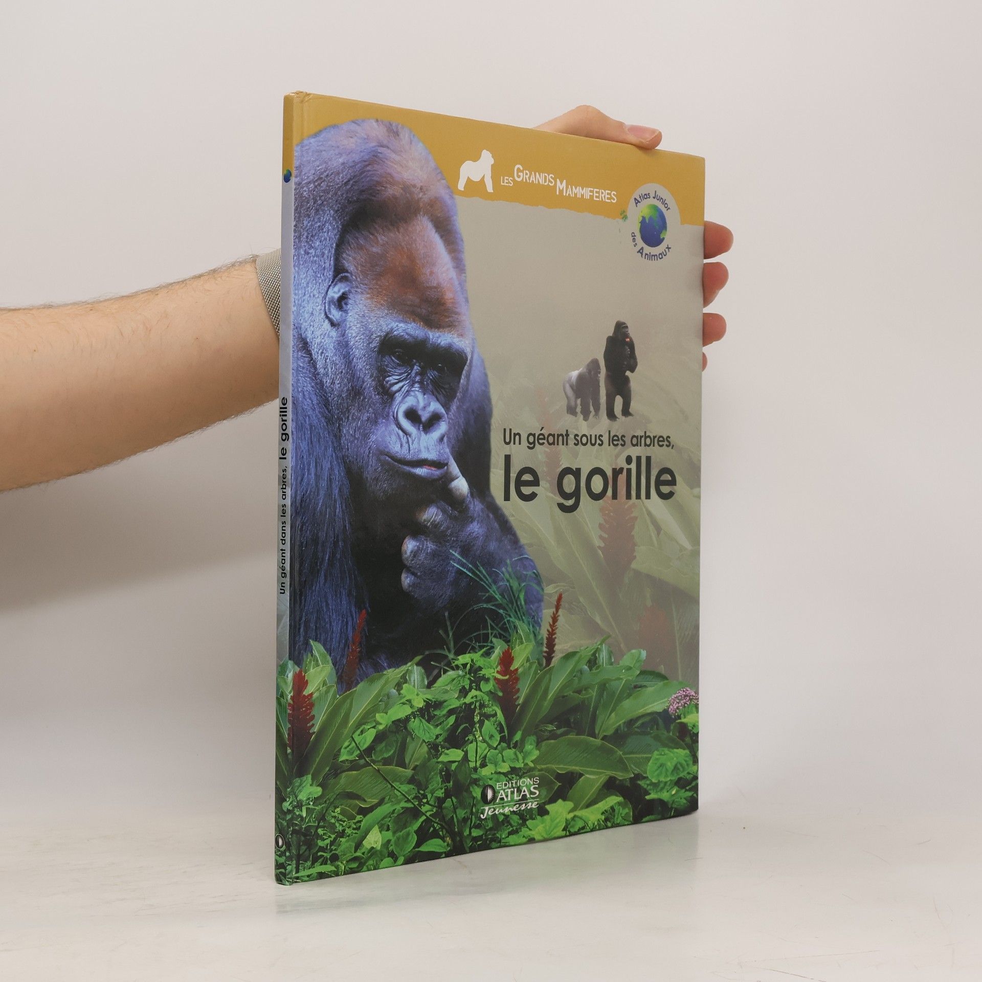 Collectif d'auteurs Un géant sous les arbres. Le gorille