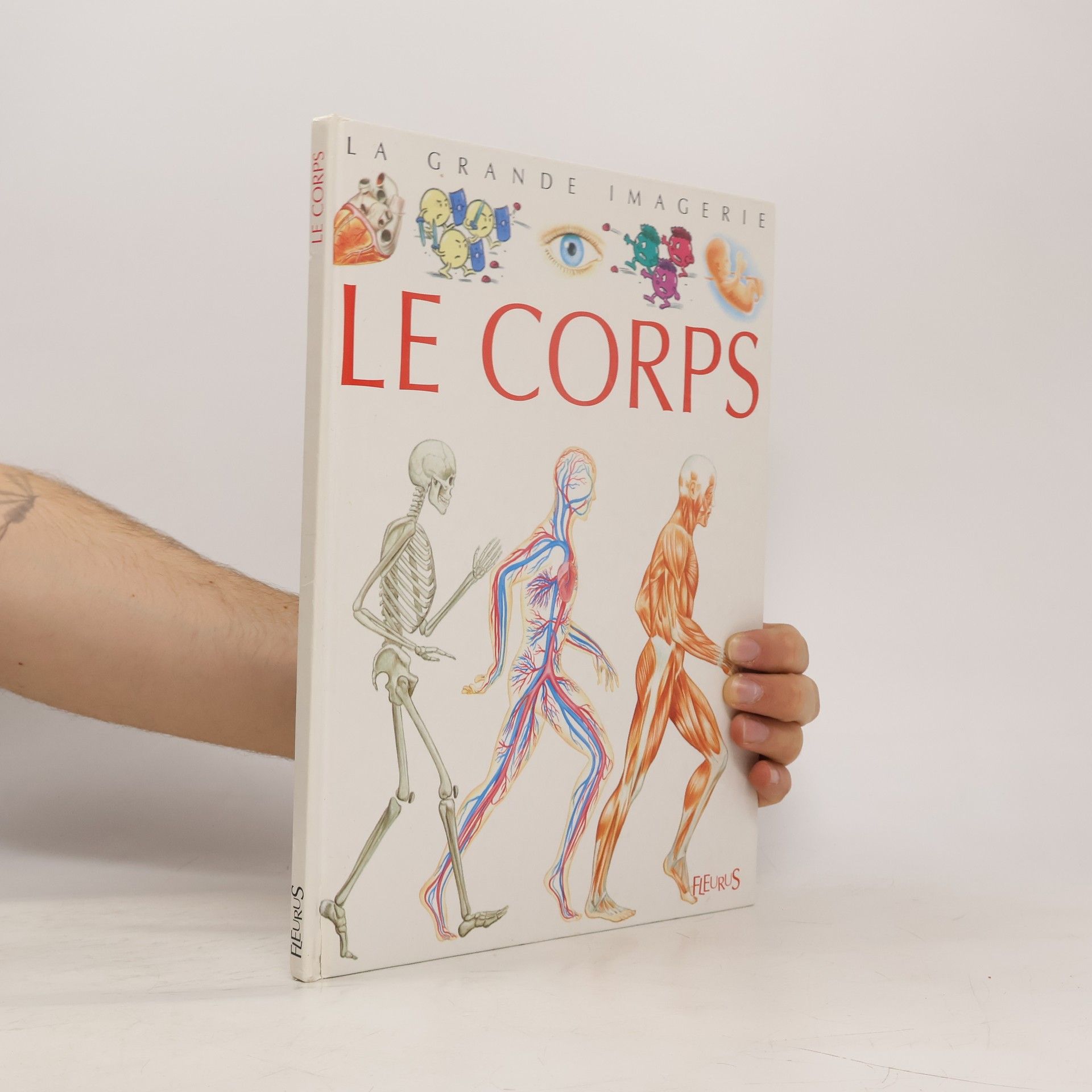 Collectif d'auteurs Le corps