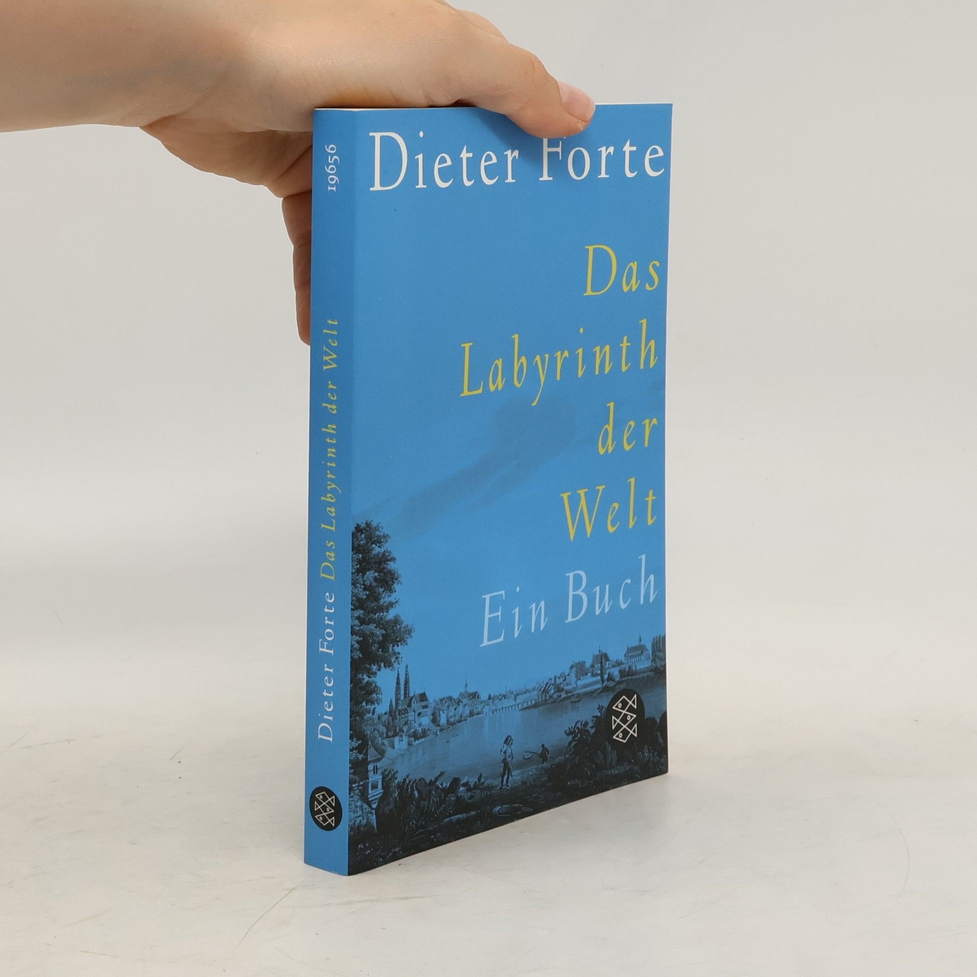 Dieter Forte Das Labyrinth der Welt