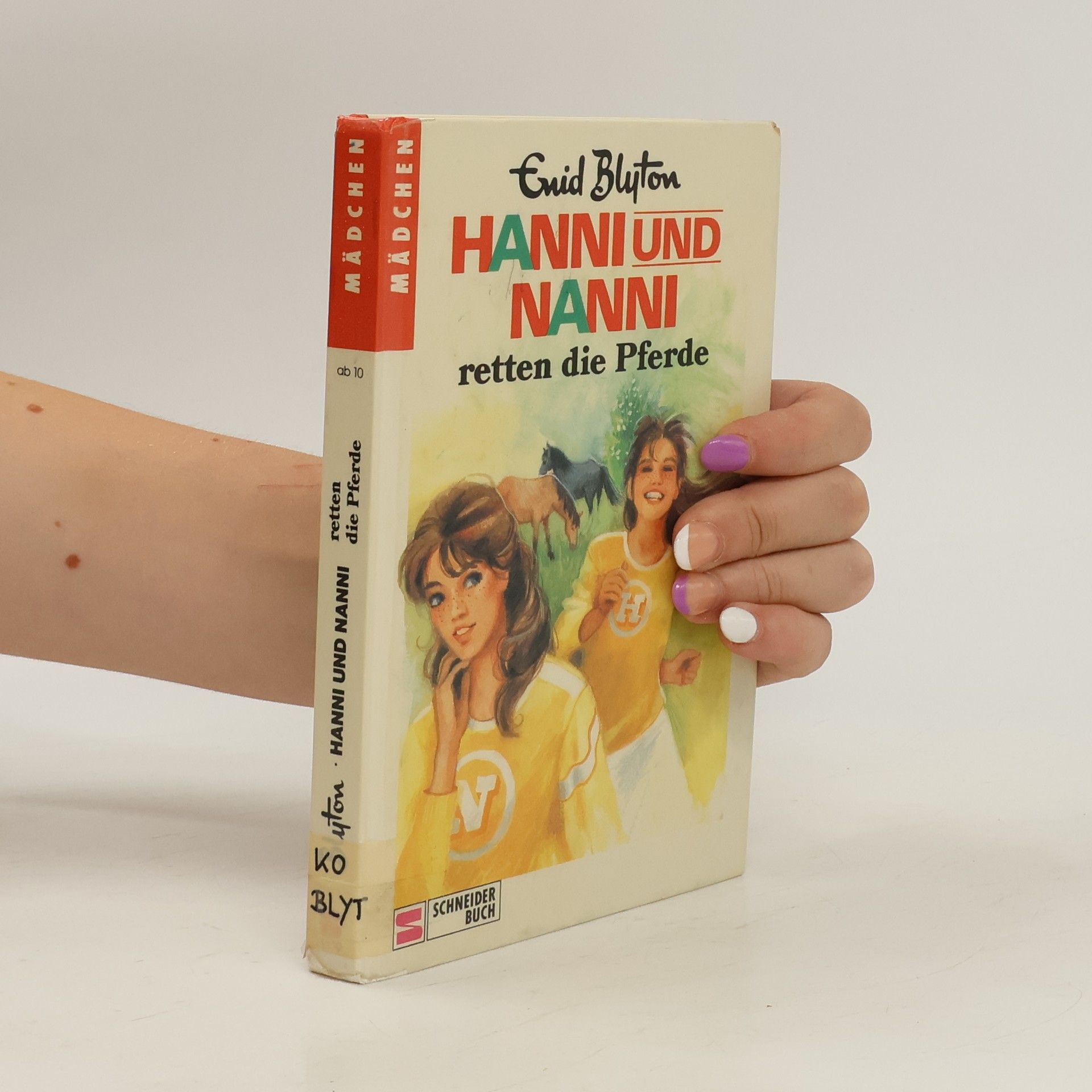 Enid Blyton Hanni und Nanni retten die Pferde