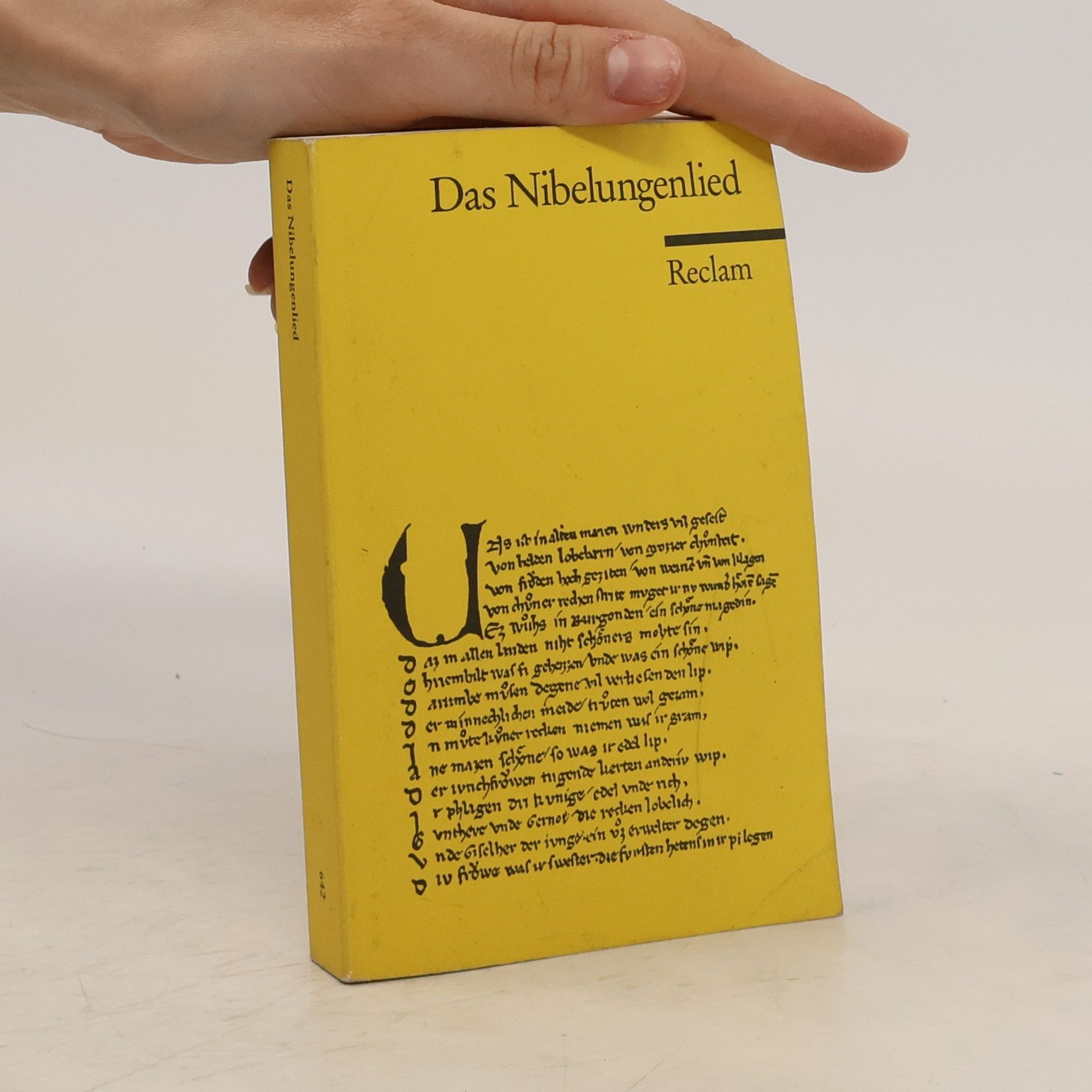 kolektiv Das Nibelungenlied