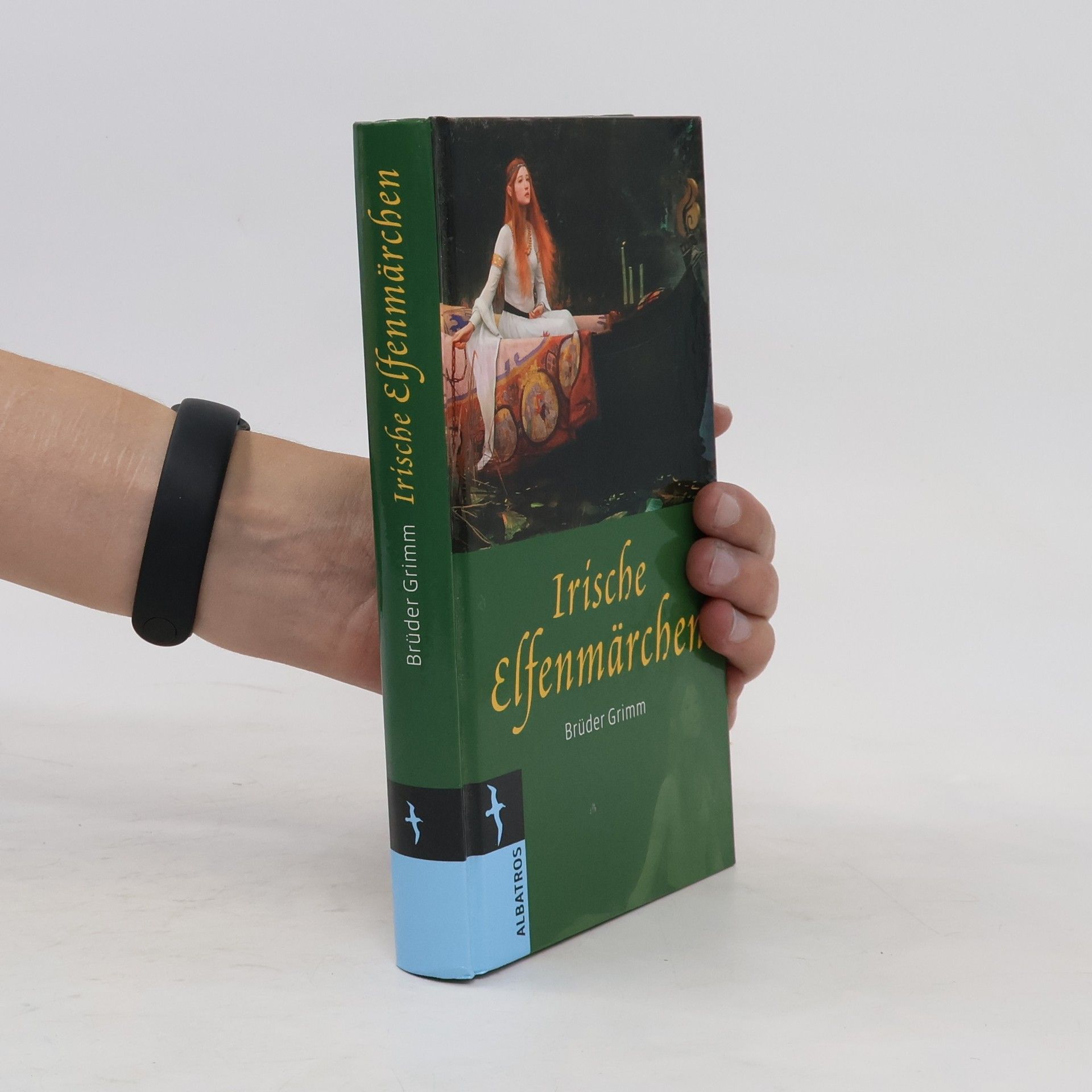 bratři Grimmové Irische Elfenmärchen