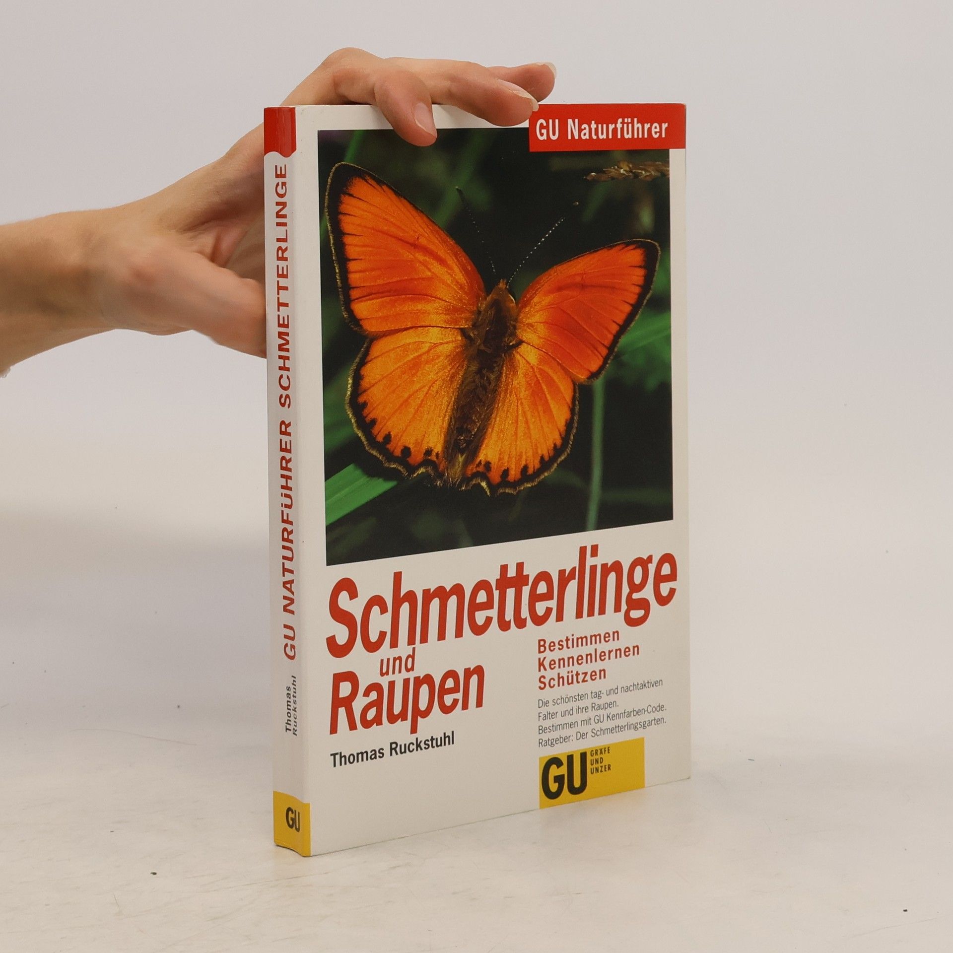 Thomas Ruckstuhl Schmetterlinge und Raupen