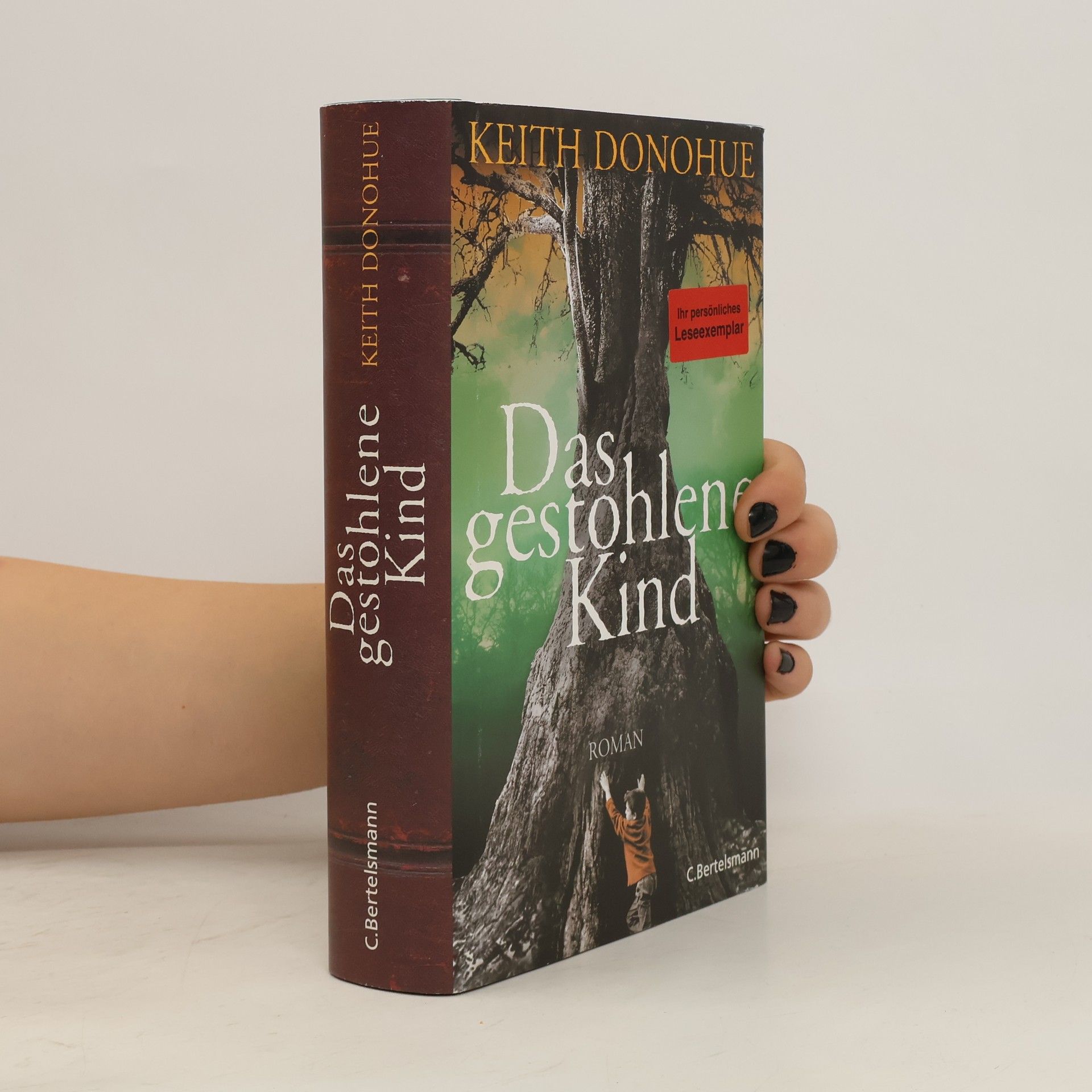 Keith Donohue Das gestohlene Kind