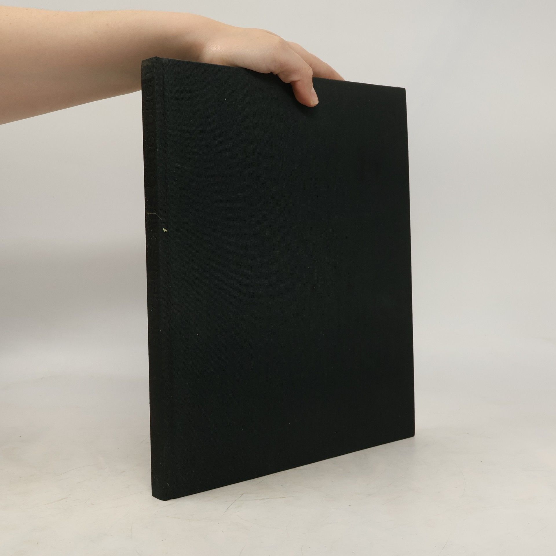 Joachim Schubert Ein deutsches bilderbuch