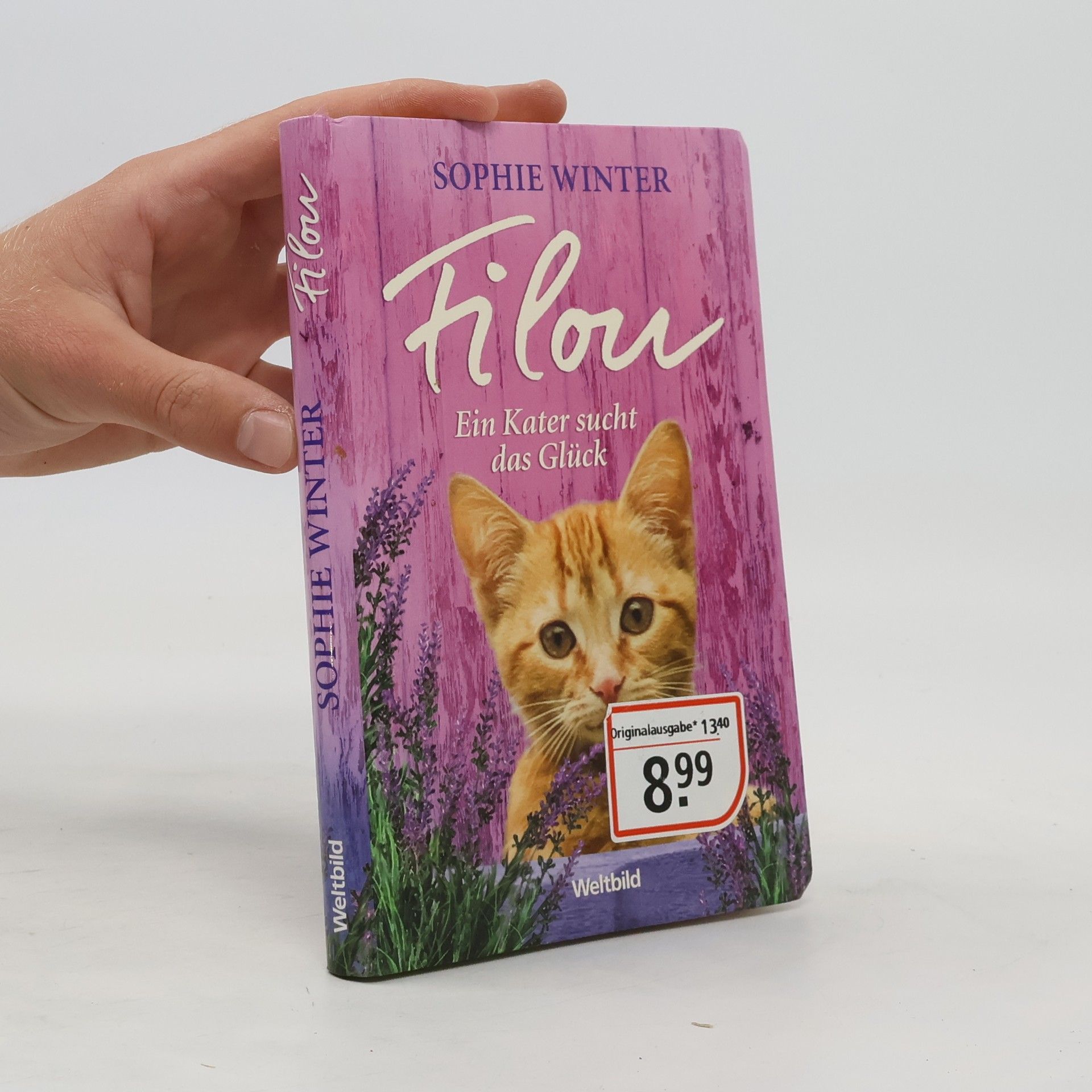 Sophie Winter Filou - ein Kater sucht das Glück