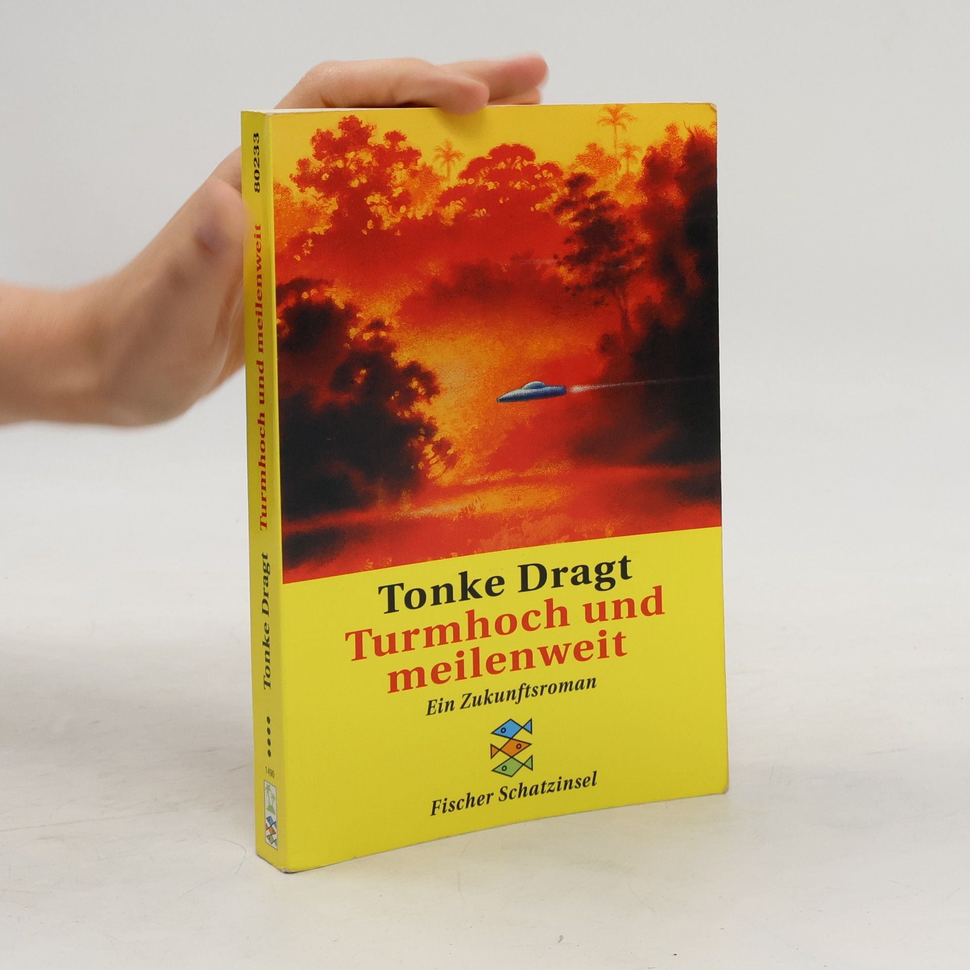 Tonke Dragt Turmhoch und meilenweit