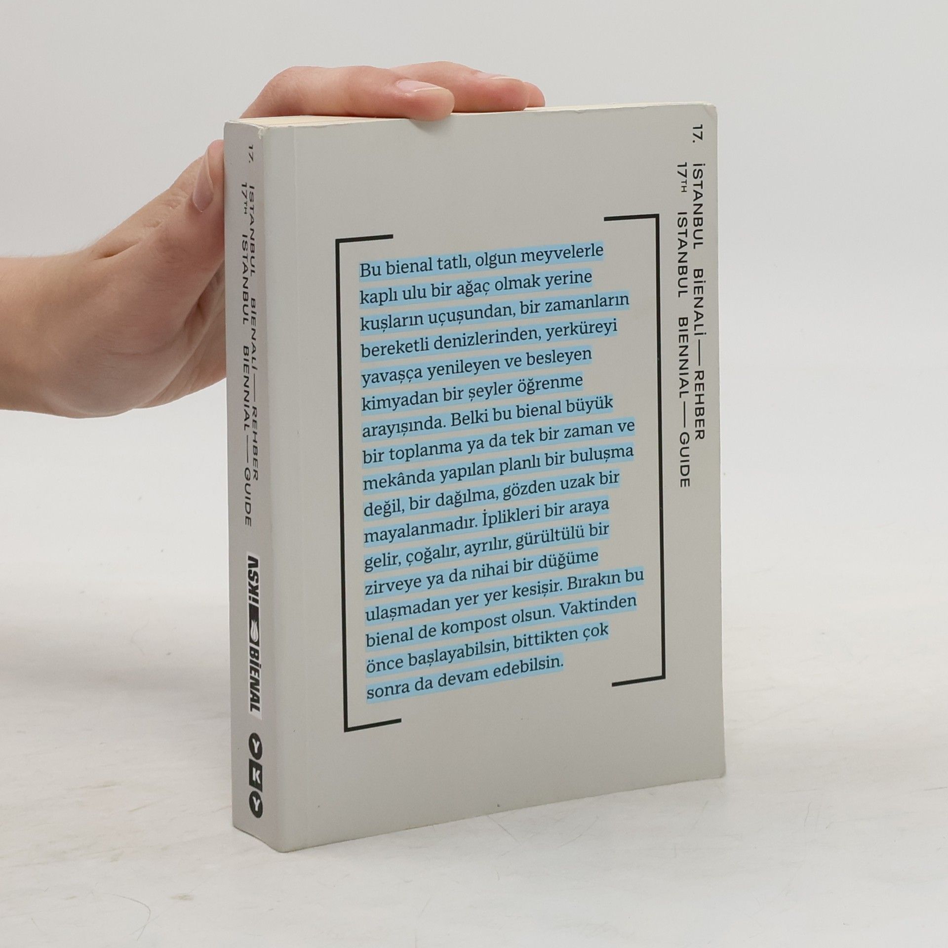 Collectif d'auteurs 17. Istanbul bienali - rehber. 17th Istanbul Biennial - Guide