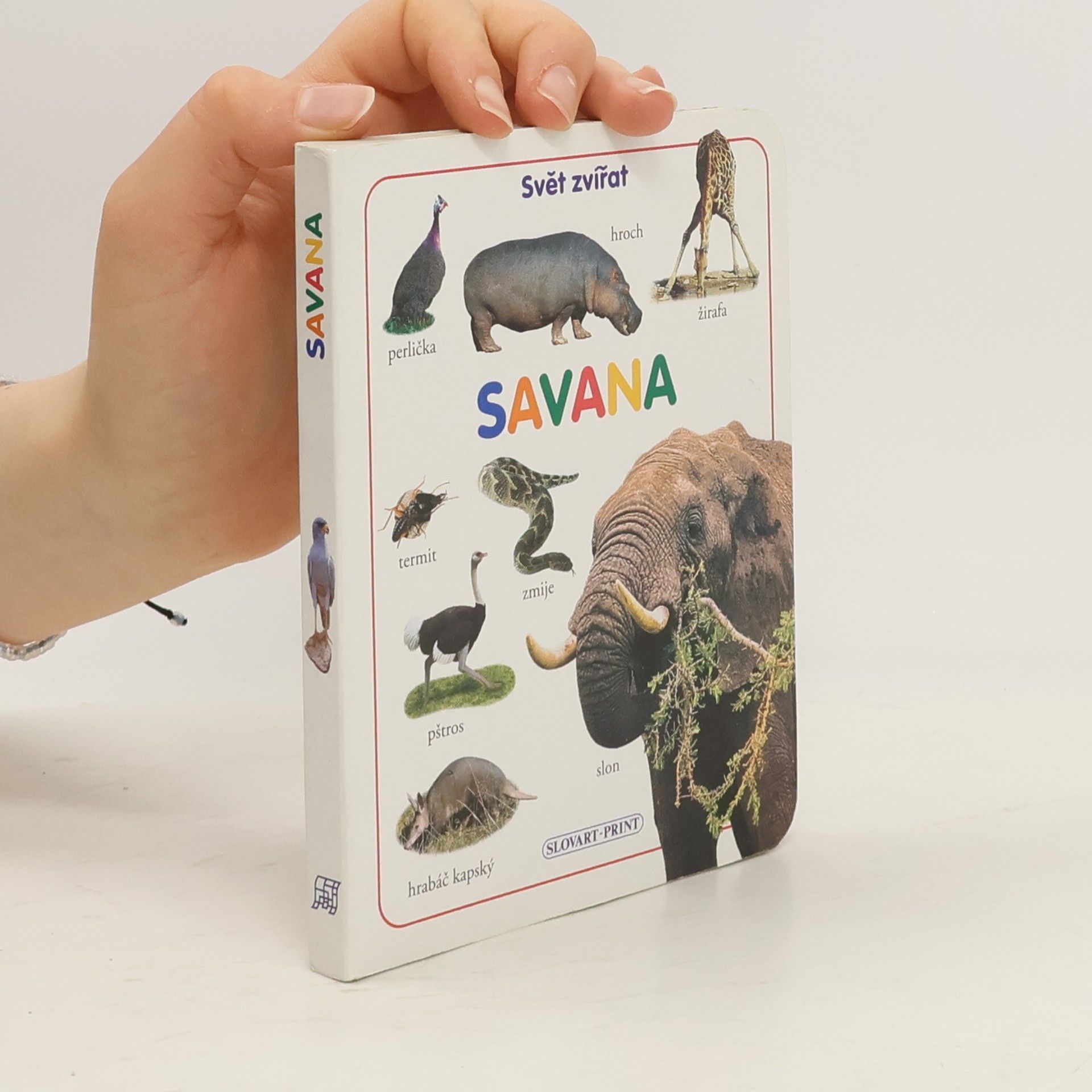Collectif d'auteurs Savana