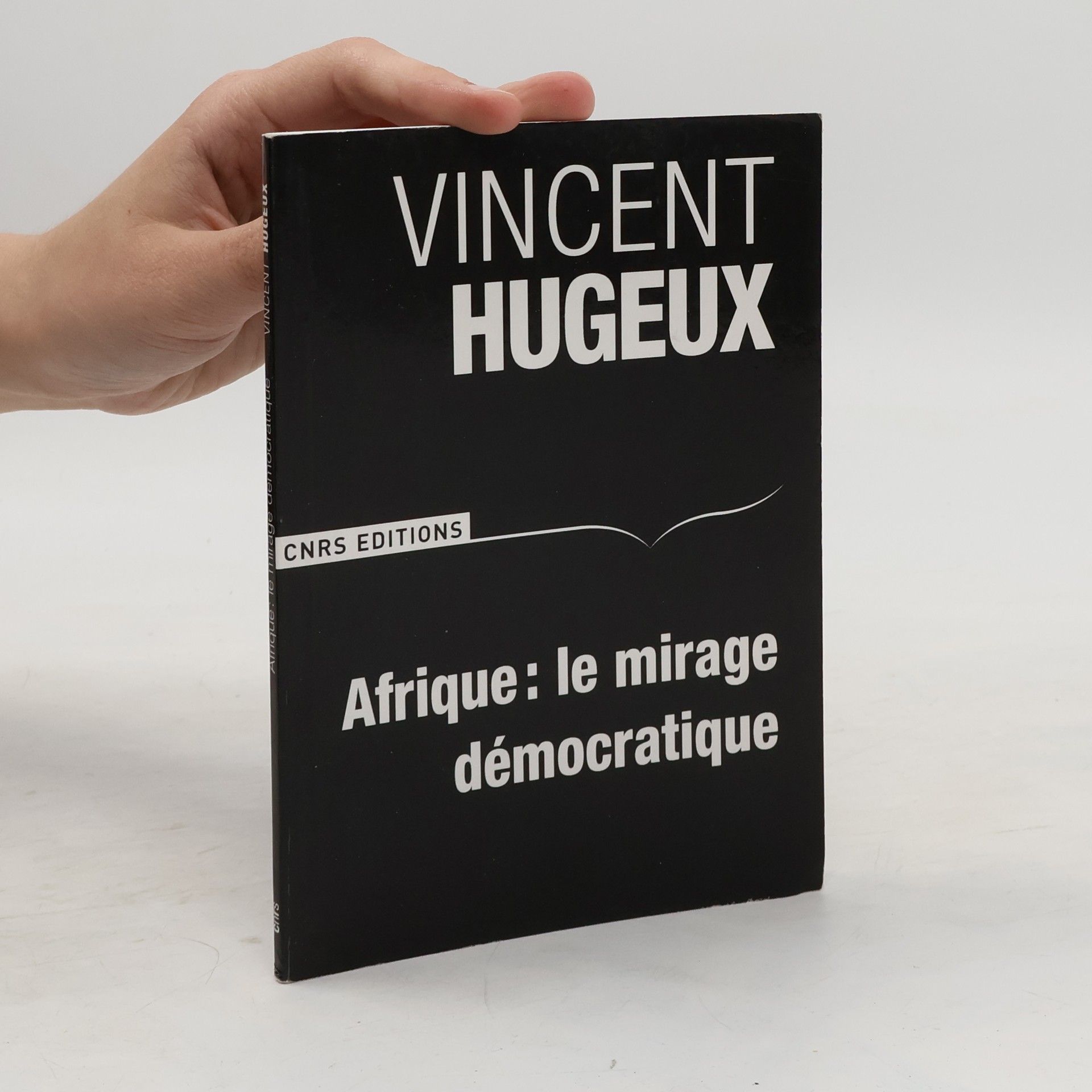 Vincent Hugeux Afrique, le mirage démocratique