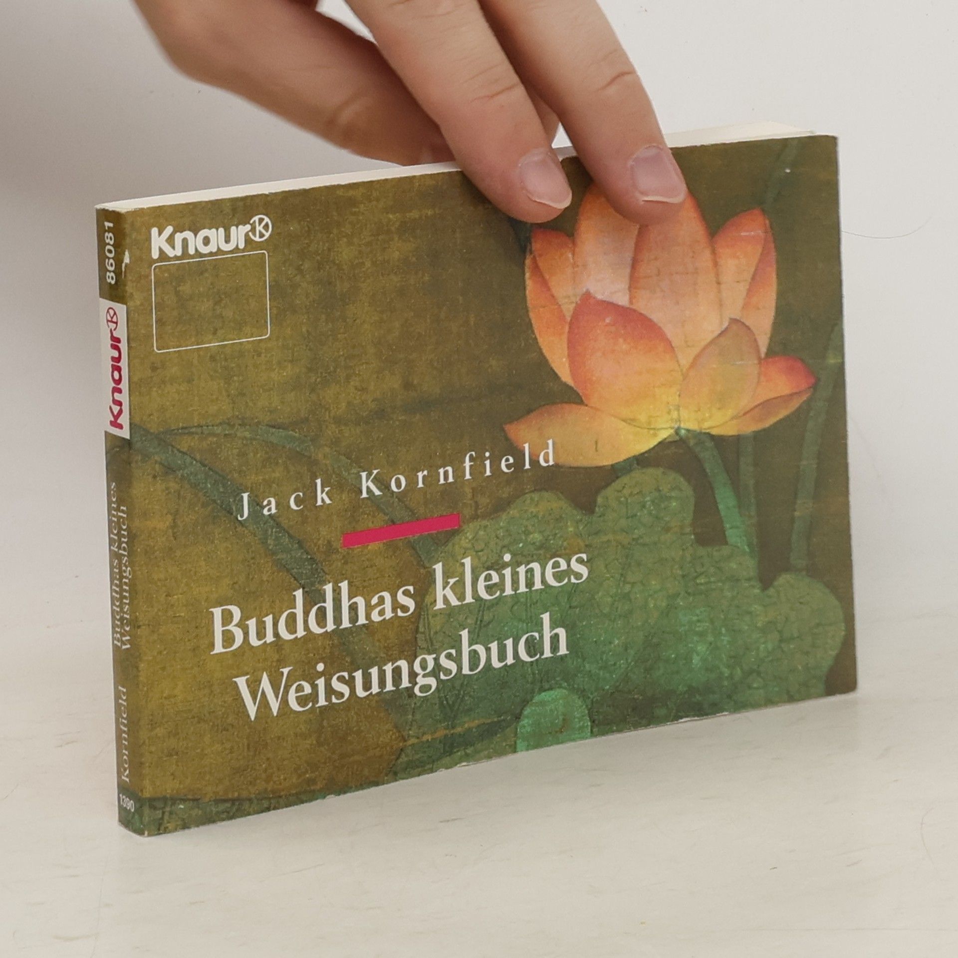 Jack Kornfield Buddhas kleines Weisungsbuch