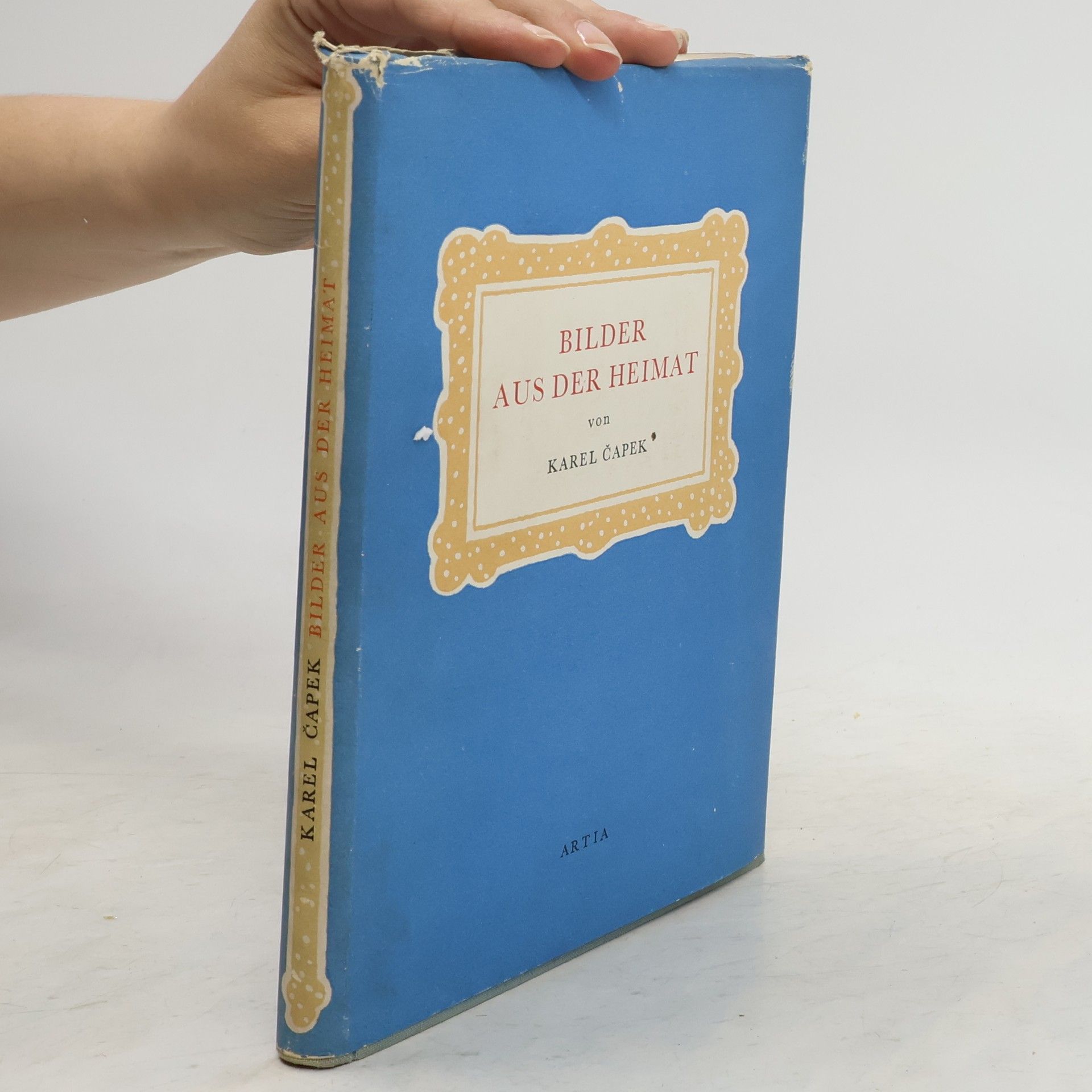 Karel Čapek Bilder aus der Heimat