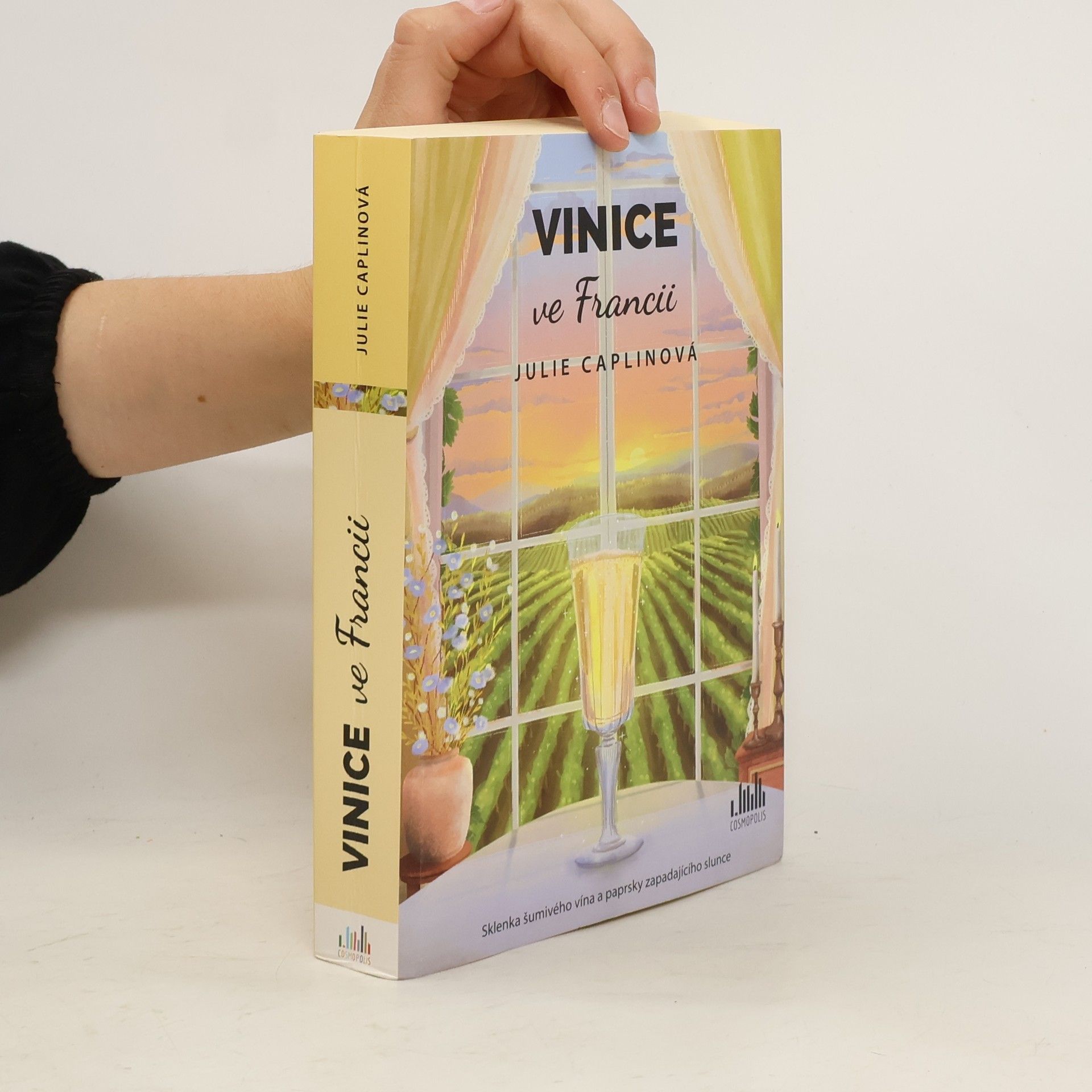 Julie Caplin Vinice ve Francii