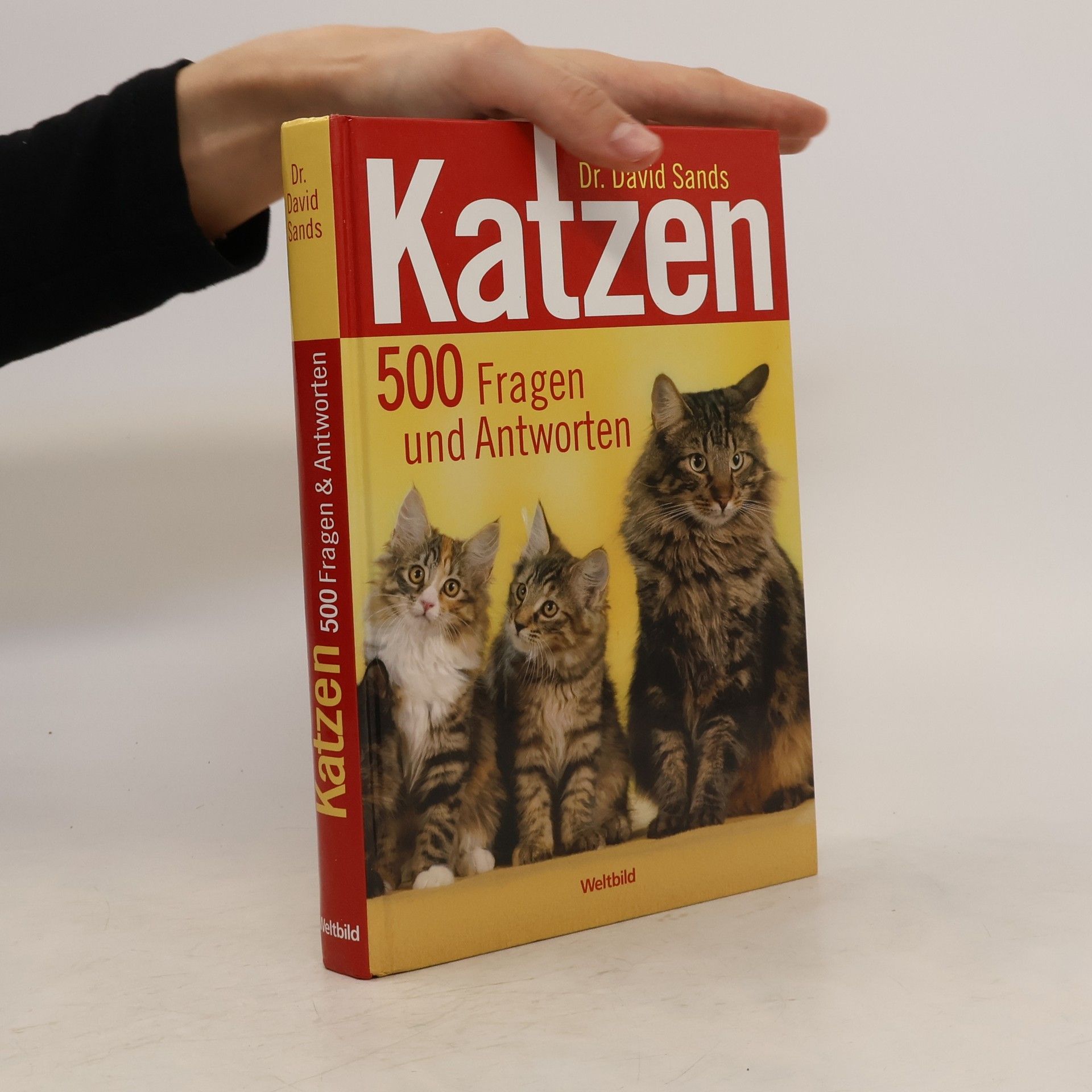 Katzen