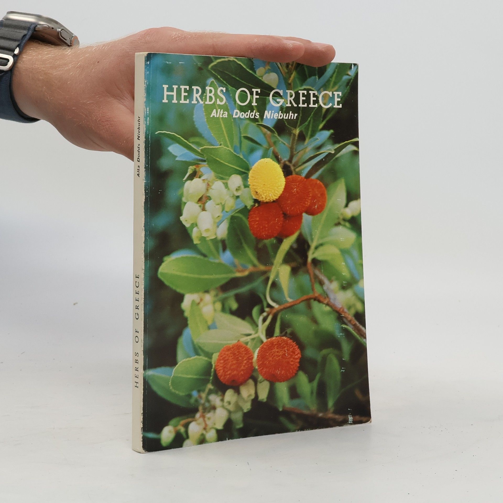 Alta Dodds Niebuhr Herbs of Greece
