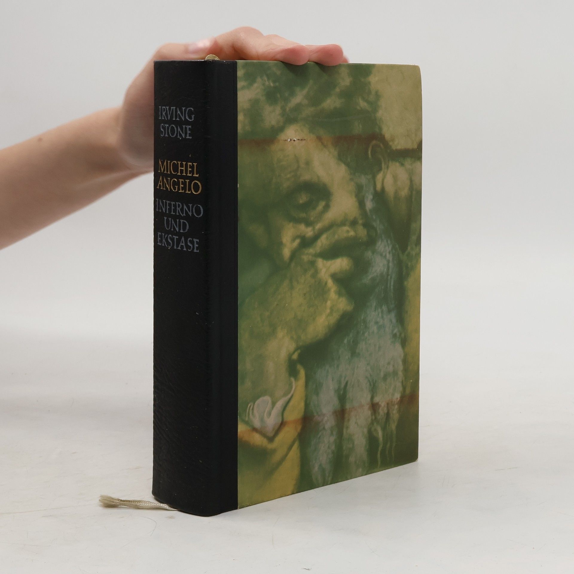 Irving Stone Michelangelo. Inferno und Ekstatse