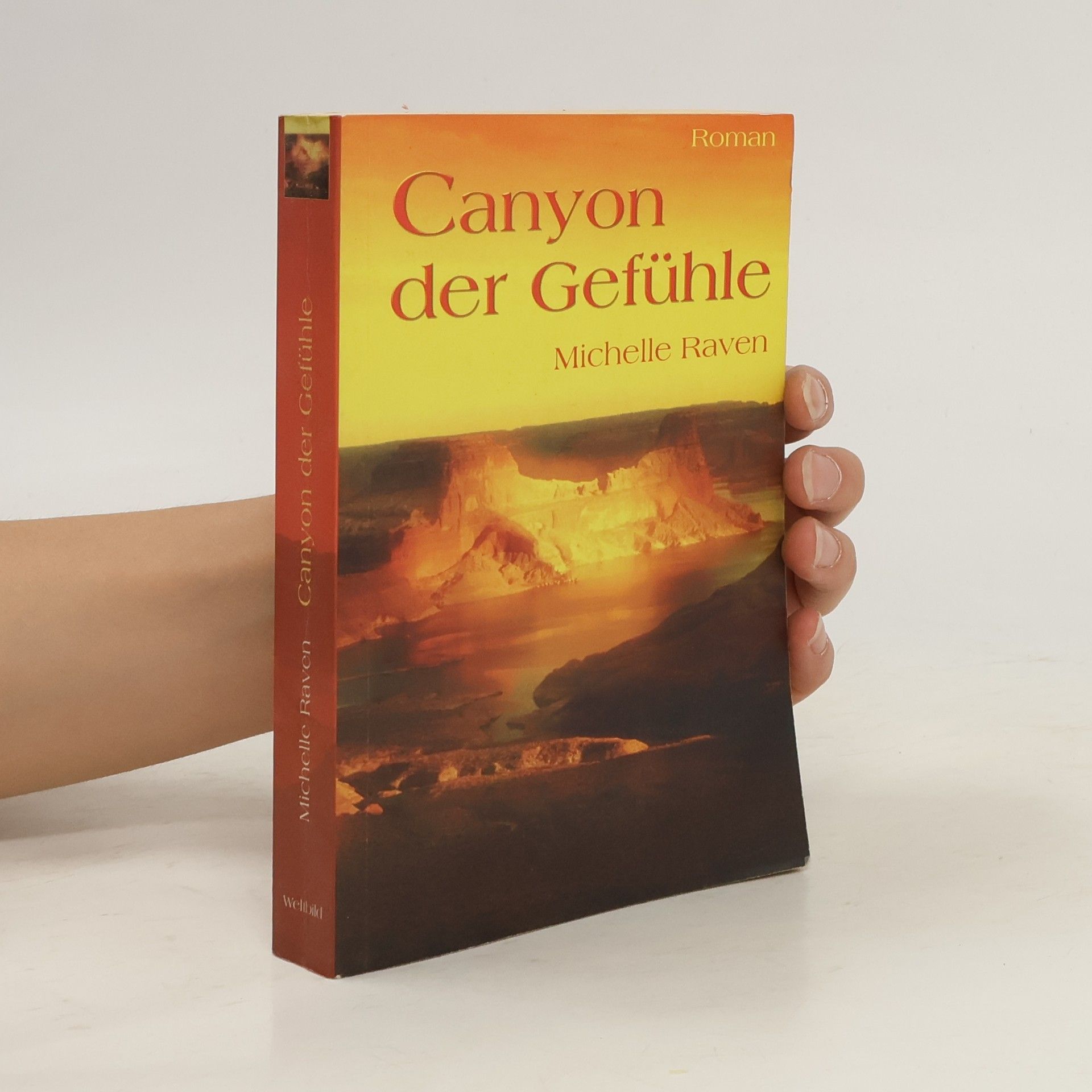 Michelle Raven Canyon der Gefühle