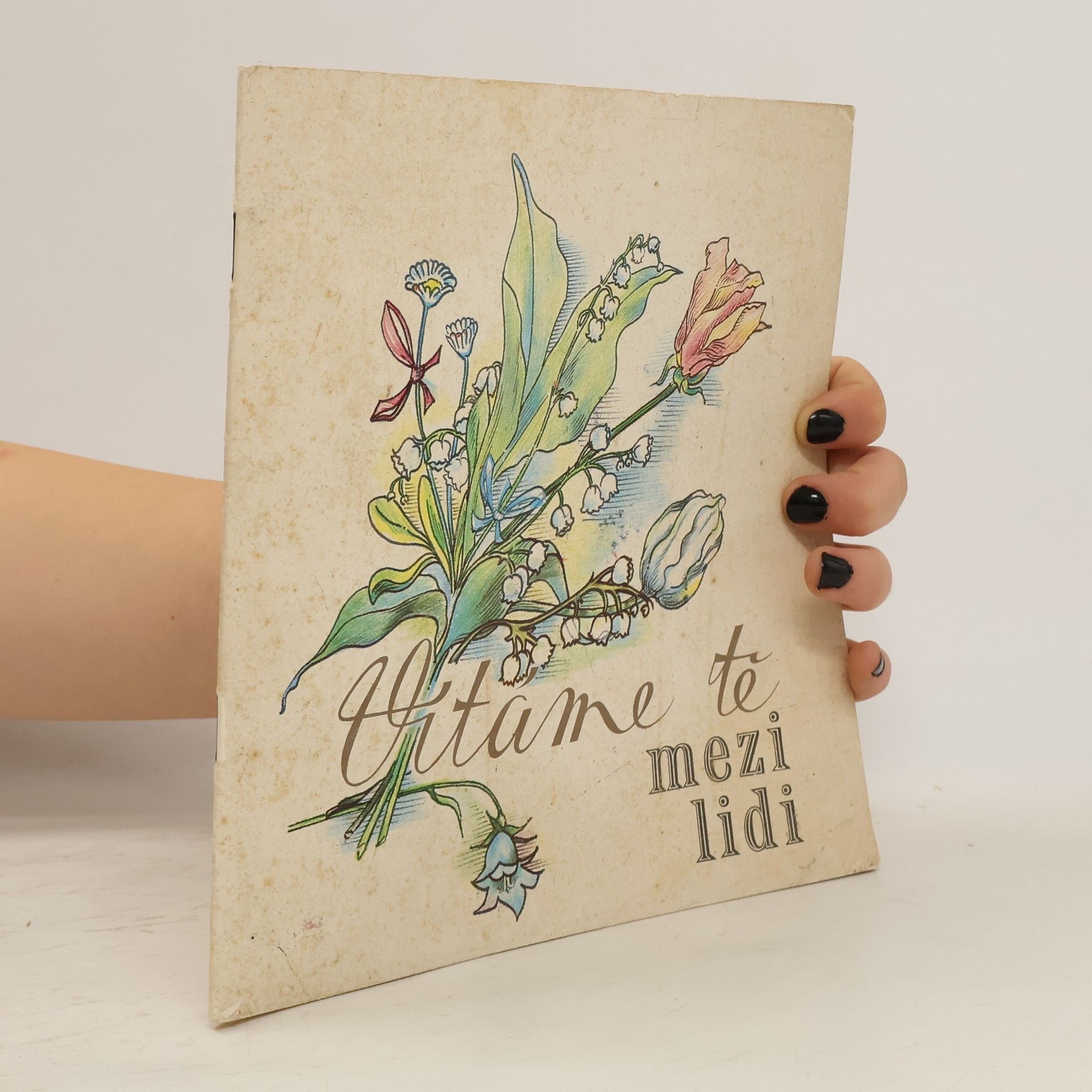 Collectif d'auteurs Vítáme tě mezi lidmi