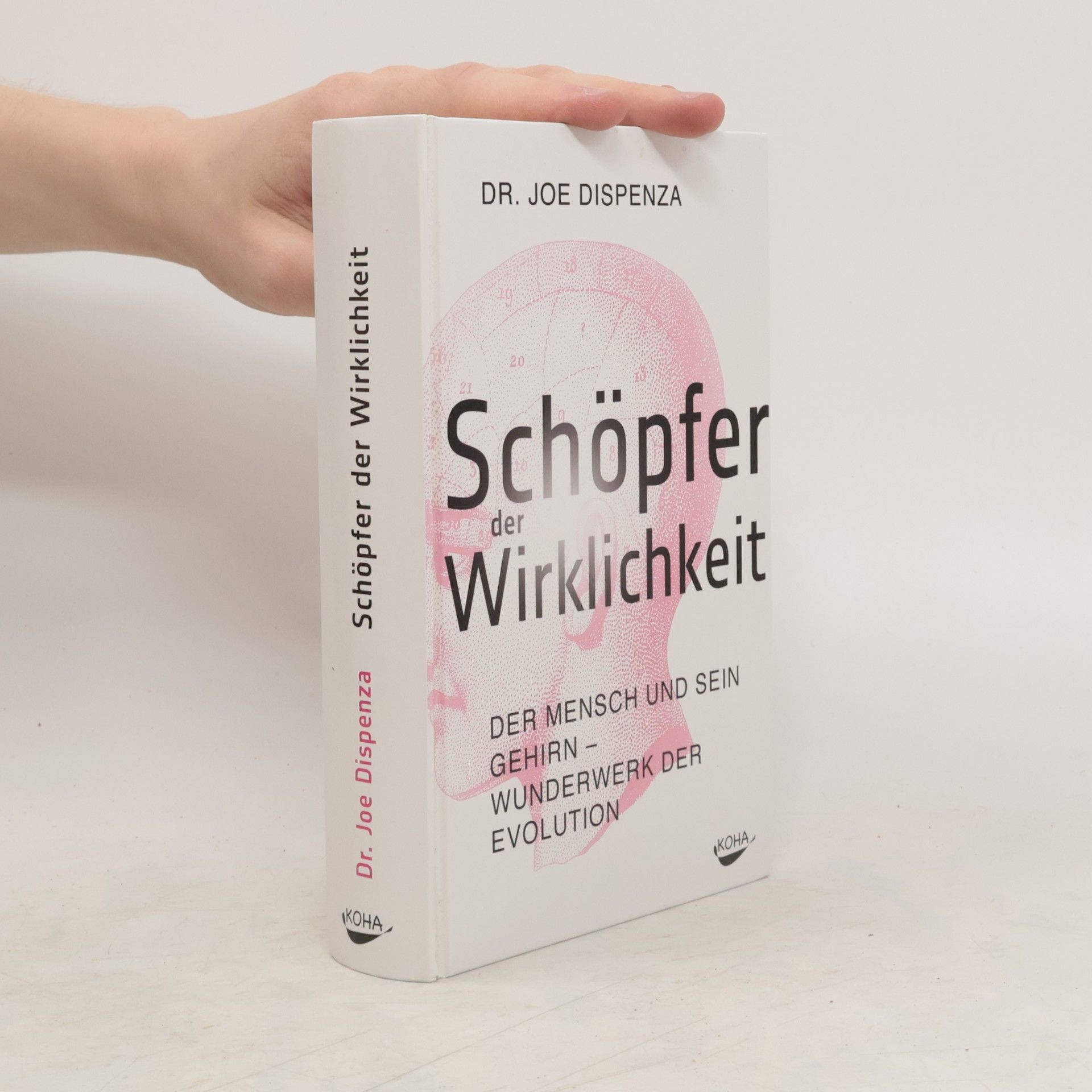 Joe Dispenza Schöpfer der Wirklichkeit