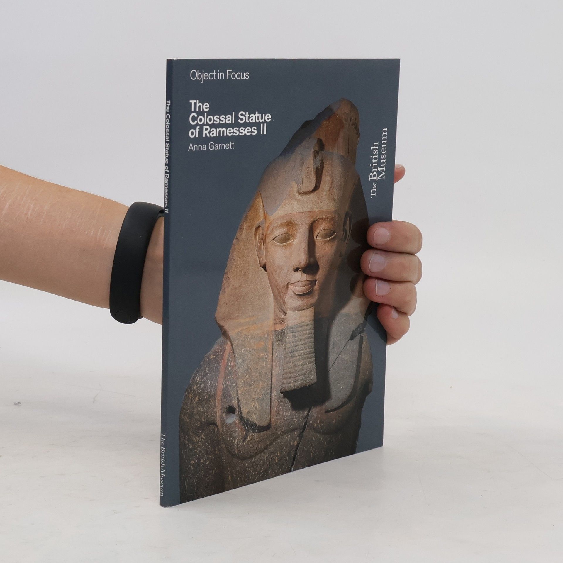 Anna Garnett The Colossal Statue of Ramesses II