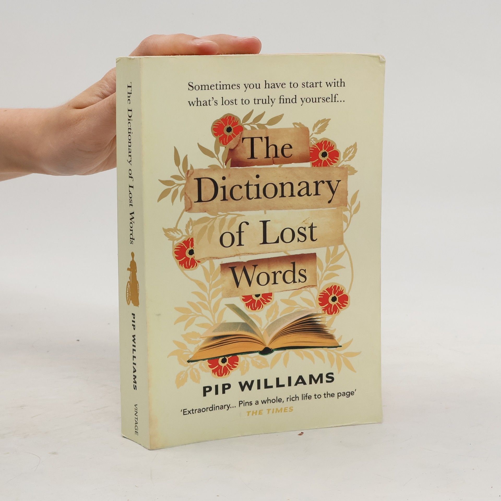 Pip Williams The dictionary of lost words