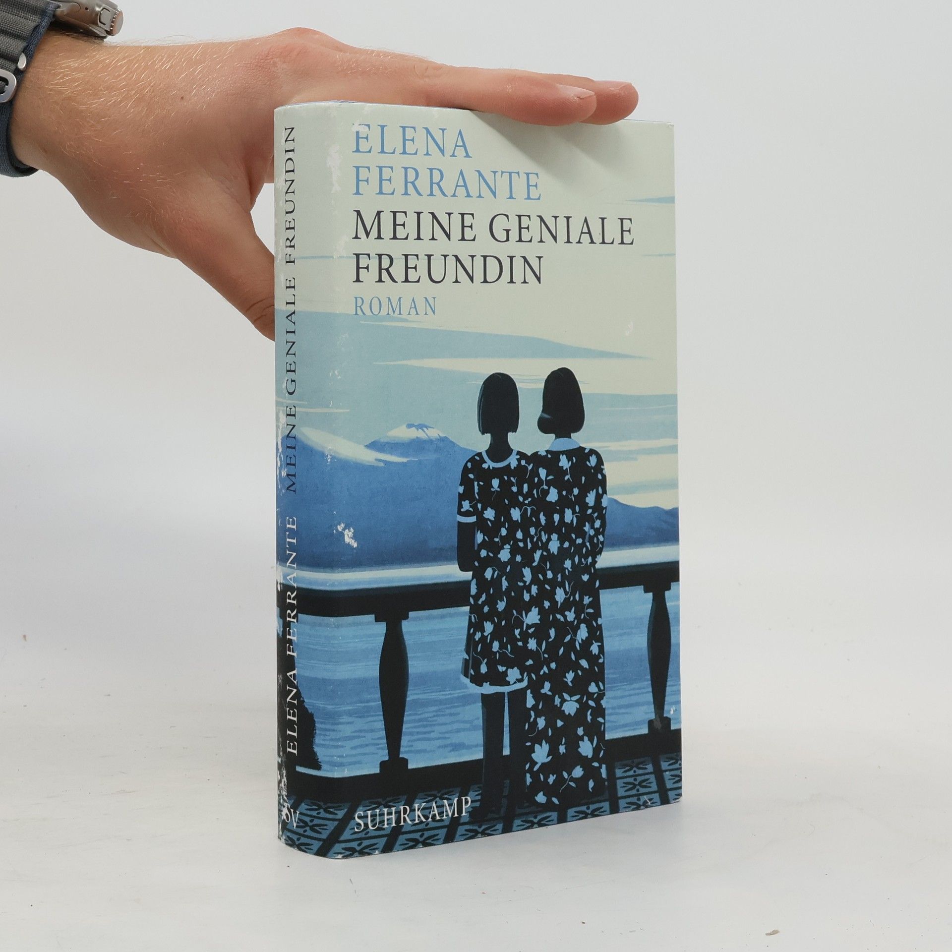 Elena Ferrante Meine geniale Freundin