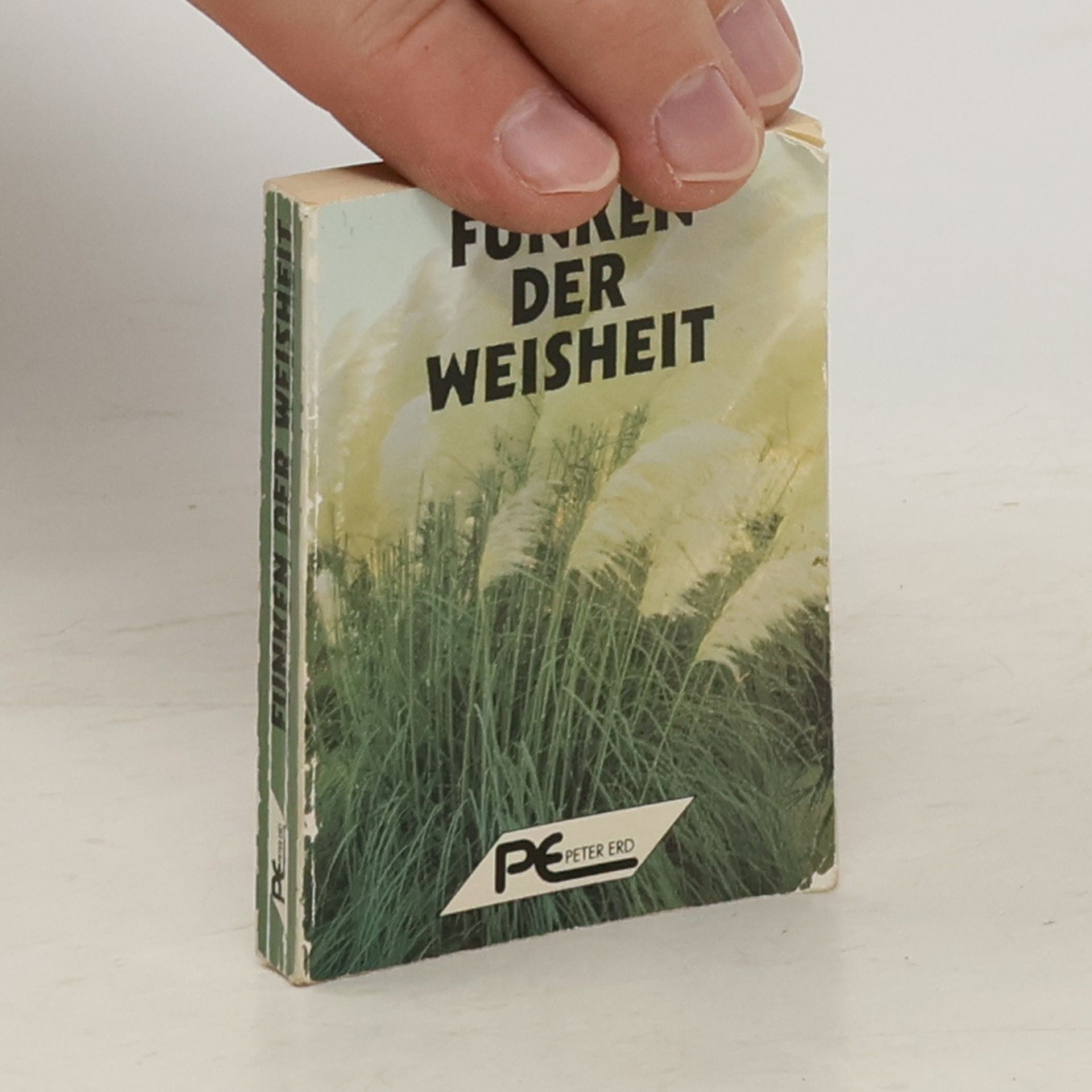 Collective Funken der Weisheit