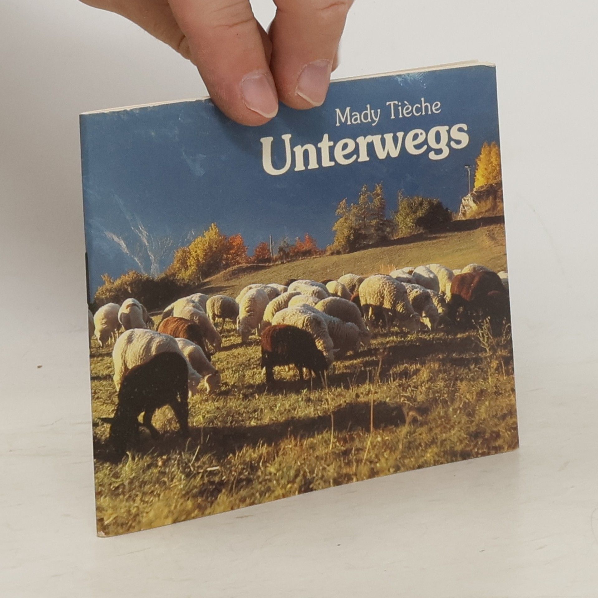 Mady Tièche Unterwegs