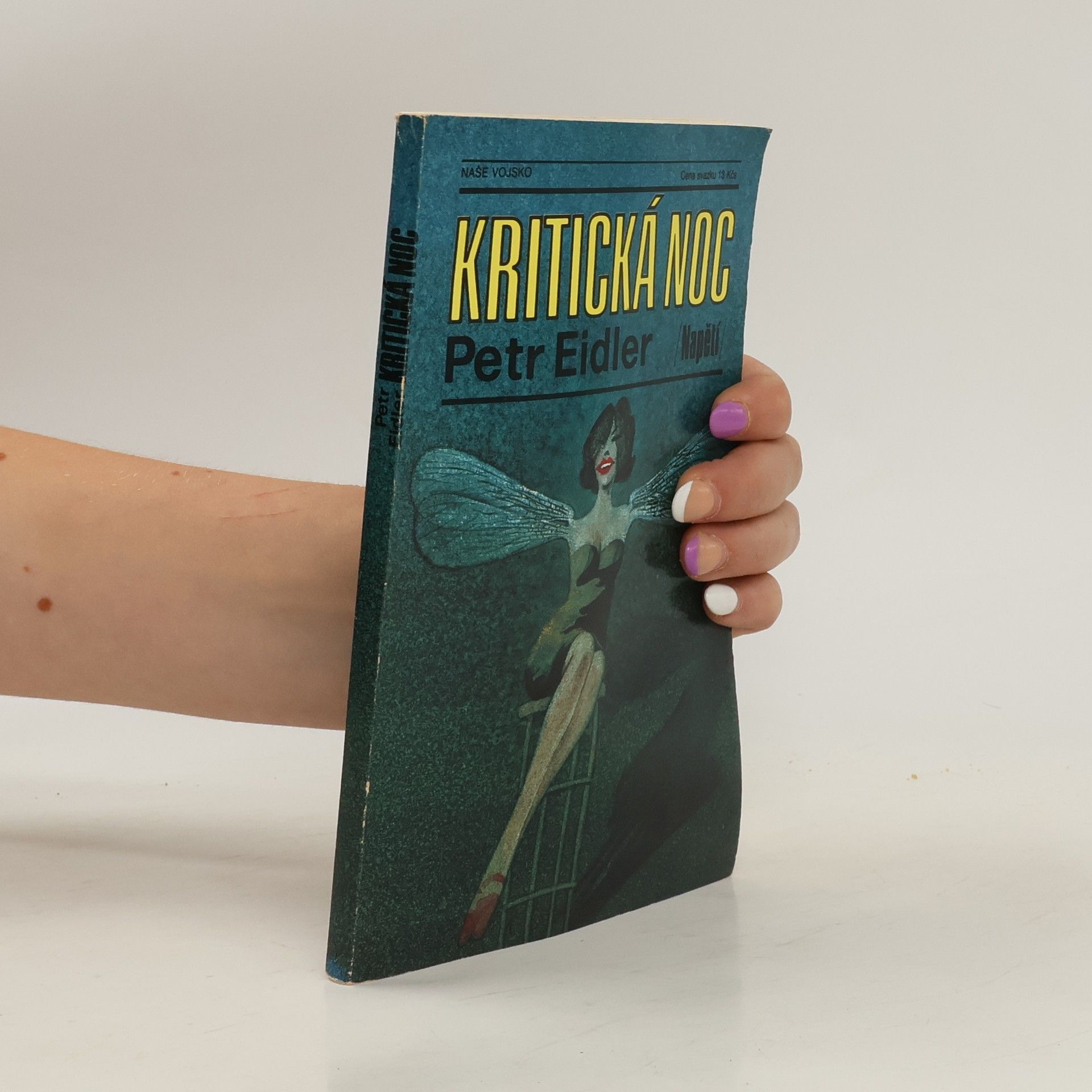 Petr Eidler Kritická noc