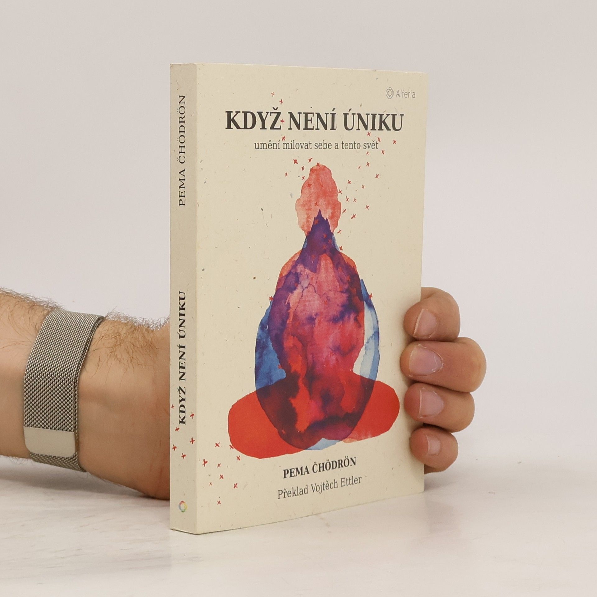 Pema Chödrön Když není úniku: Umění milovat sebe a tento svět