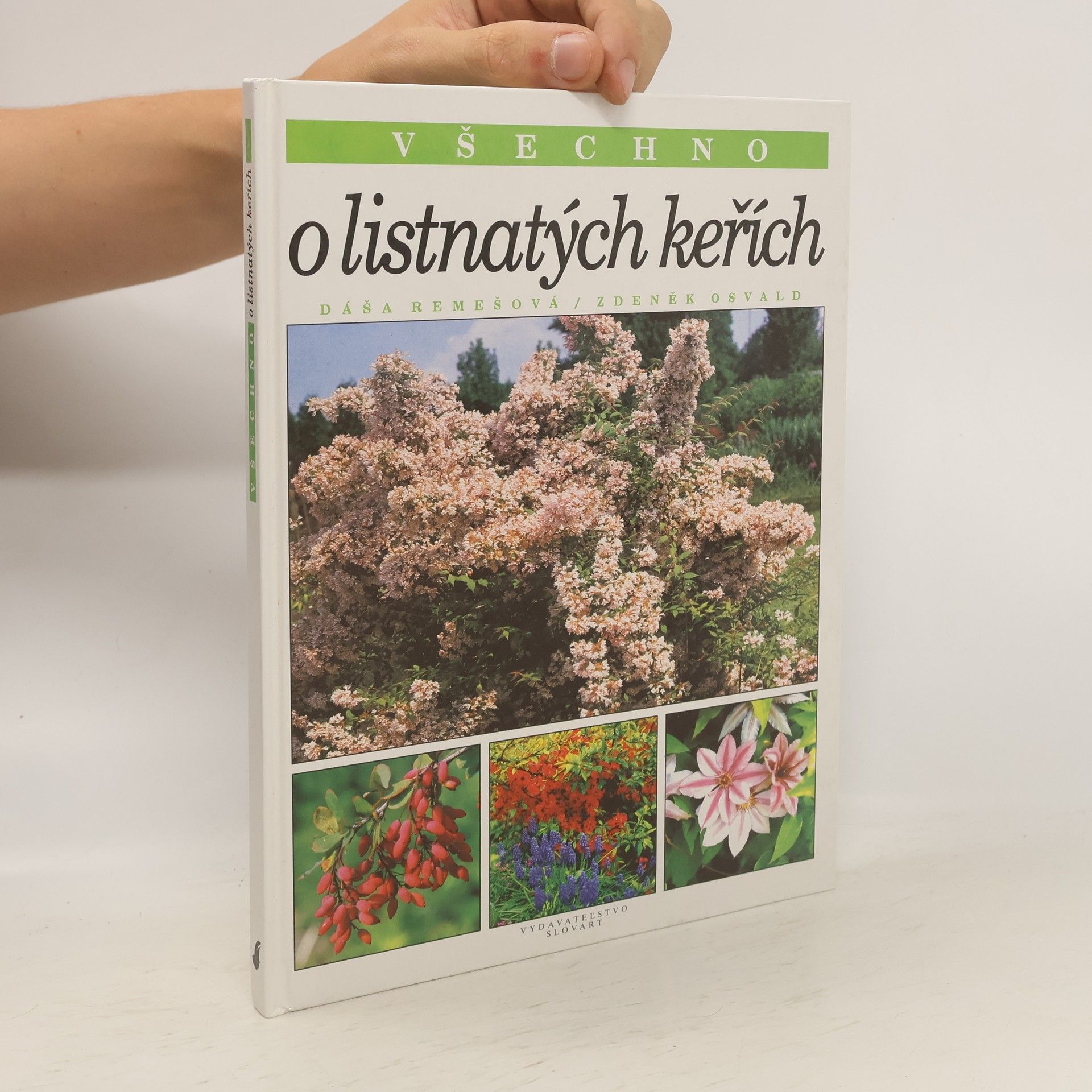 Dáša Remešová Všechno o listnatých keřích