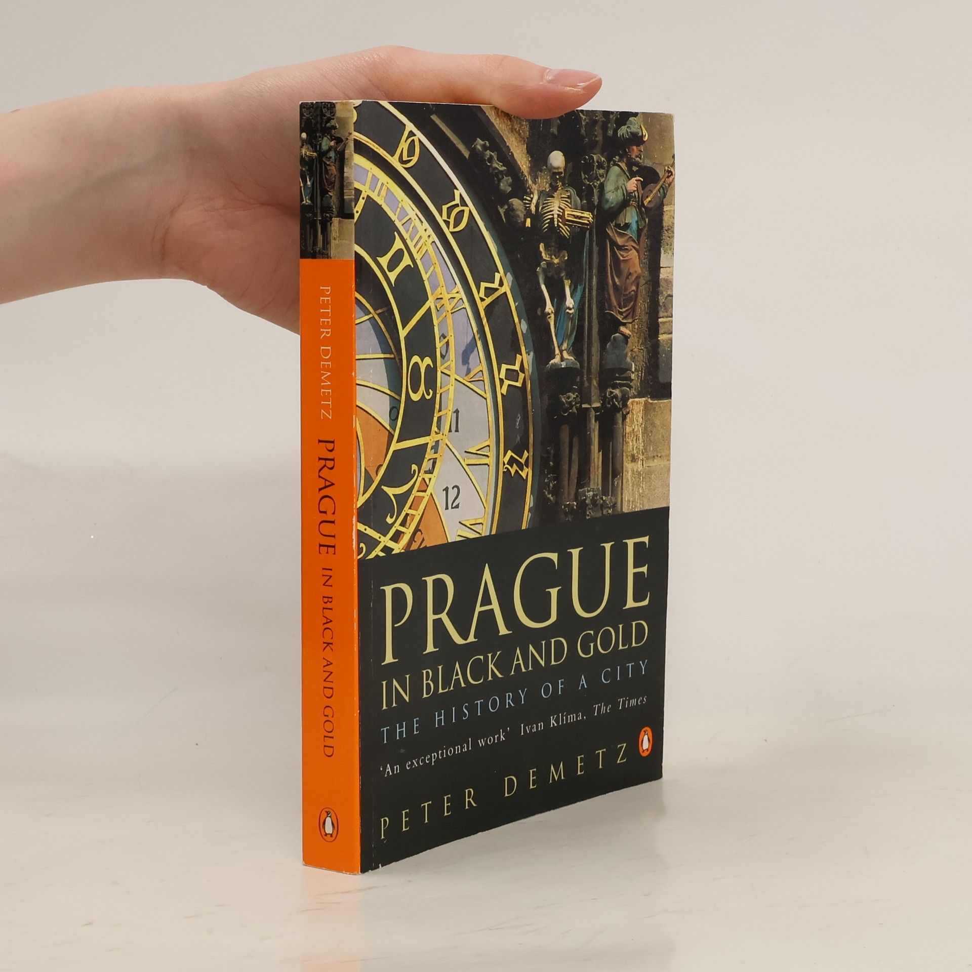 Peter Demetz Prague in black and gold : the history of a city