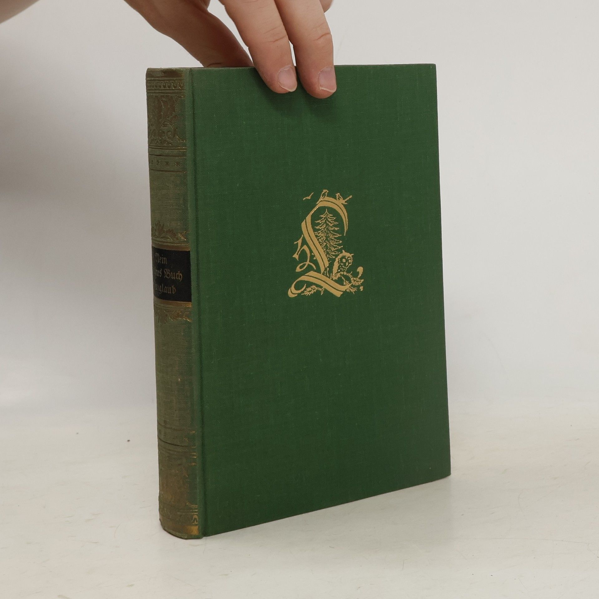 Hermann Löns Mein grünes Buch. Jagd- und Tiergeschichten