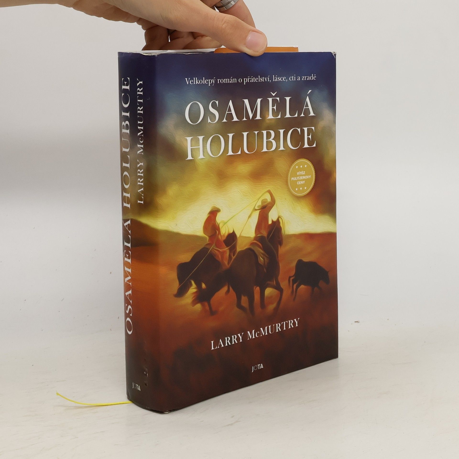 Larry McMurtry Osamělá holubice
