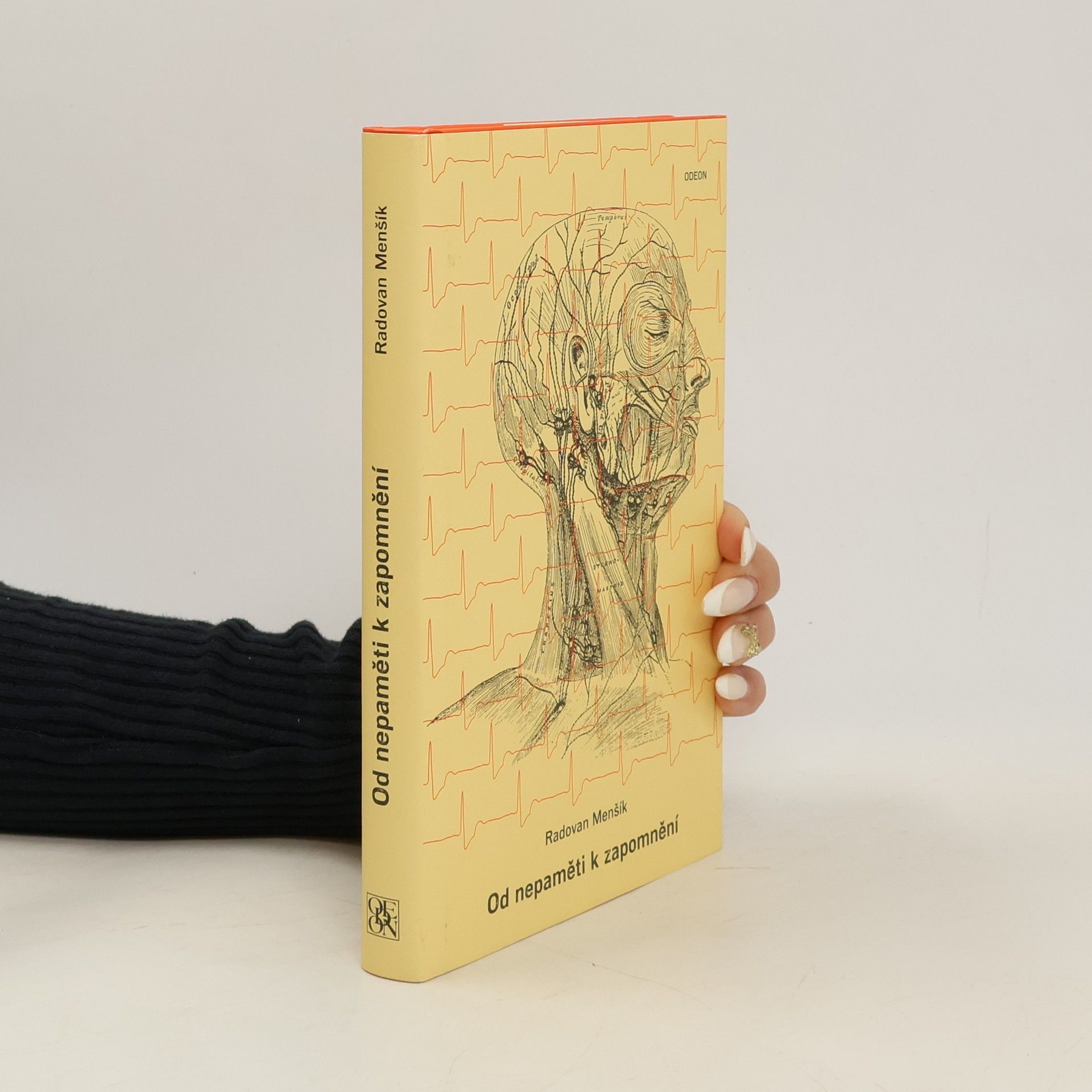 Od nepaměti k zapomnění